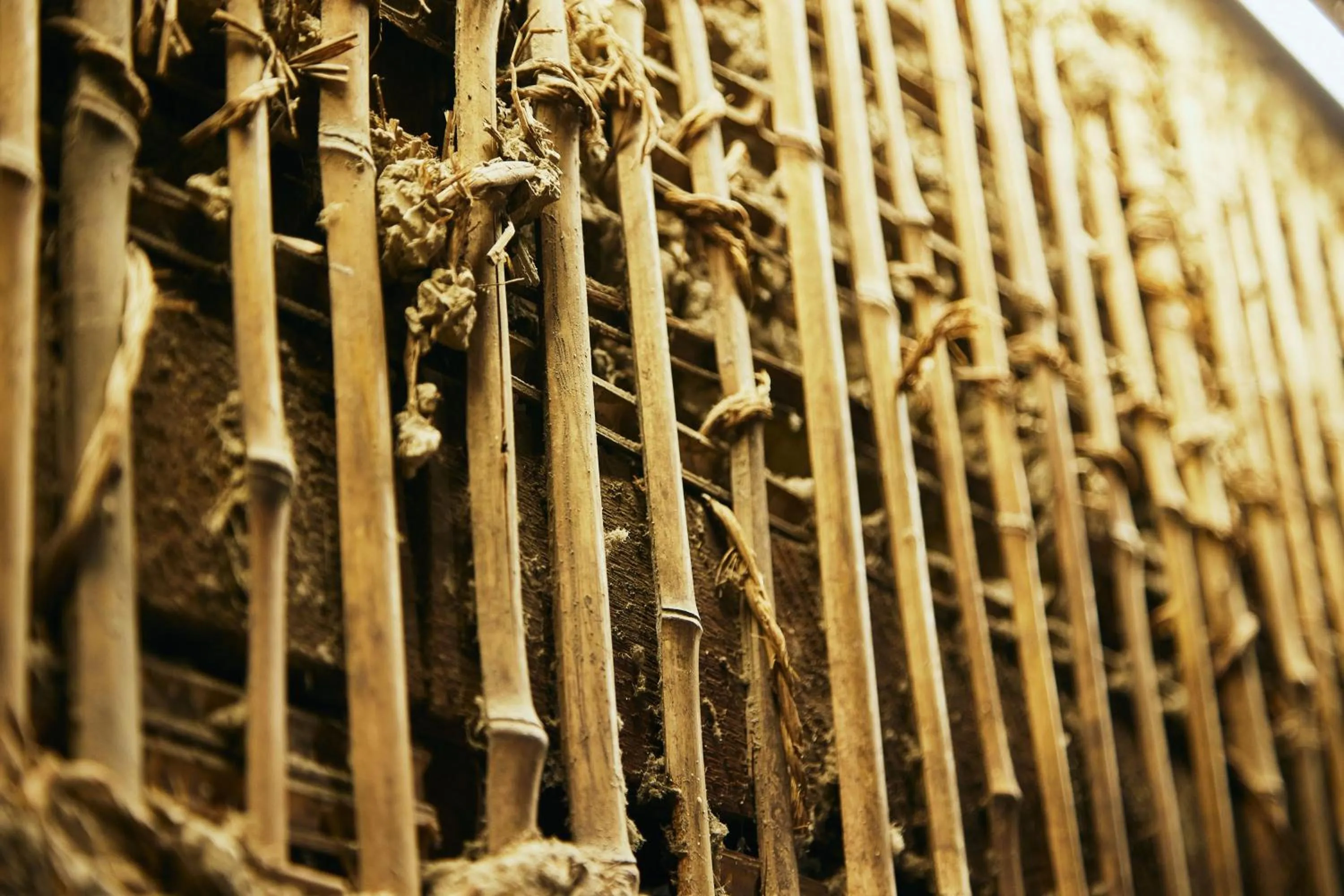 Day in TSUCHIYA Kinosaki onsen