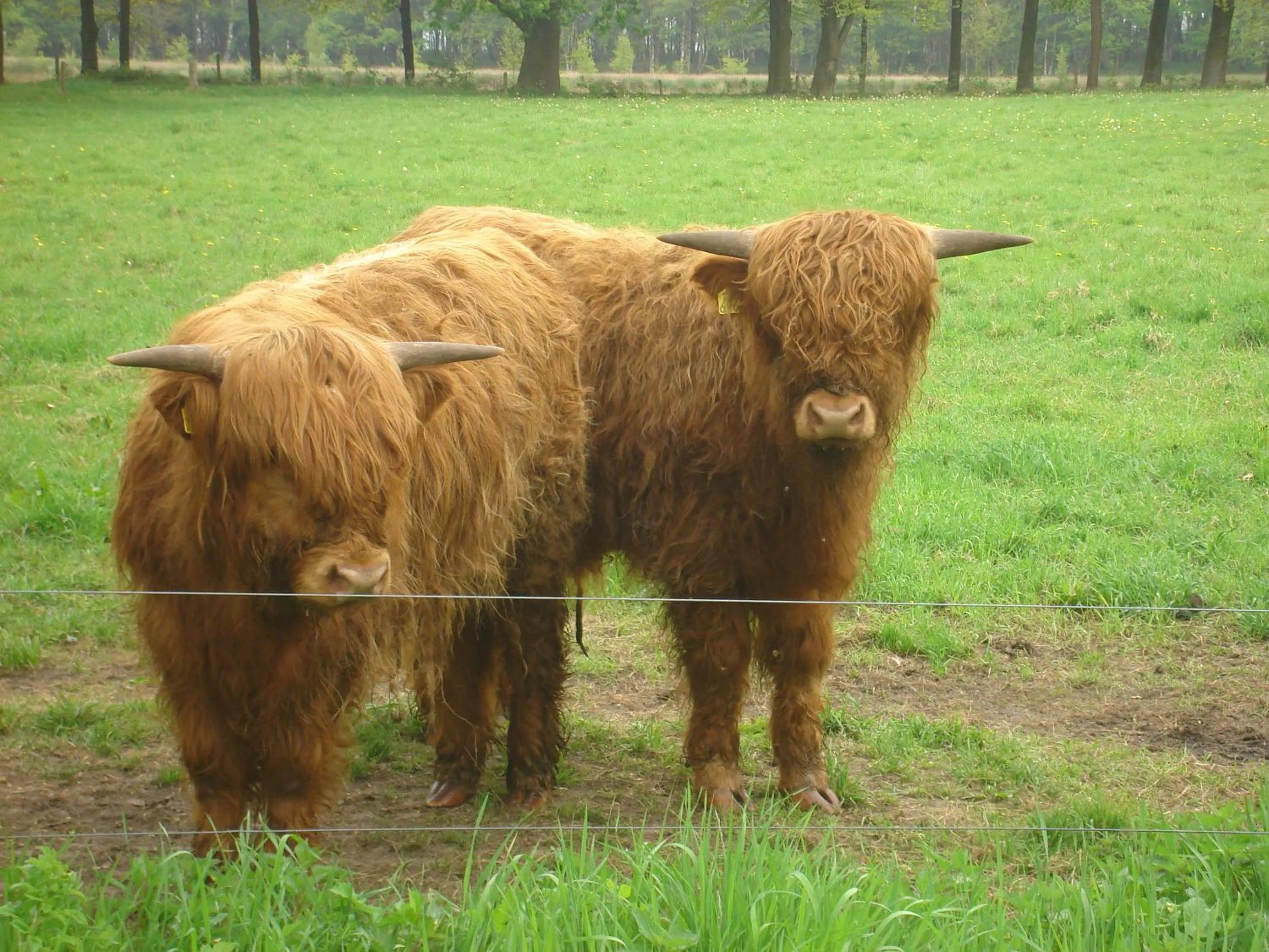 Area and facilities in Roing B&B