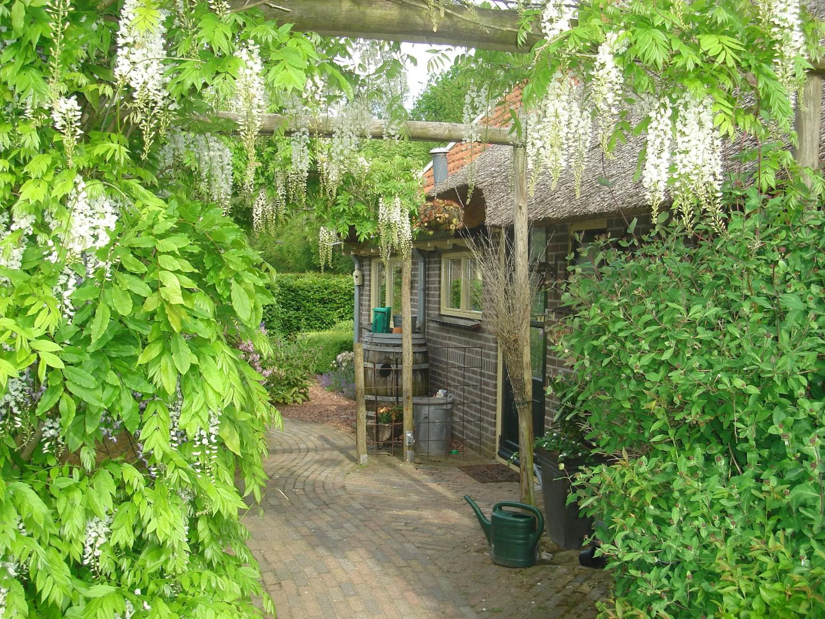 Balcony/Terrace in Roing B&B