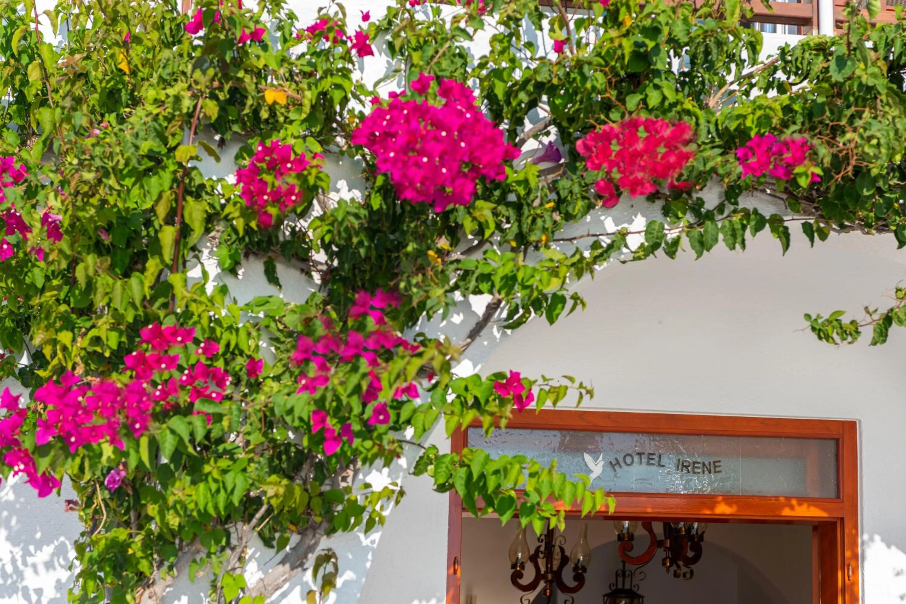 Irene Hotel - Beachfront