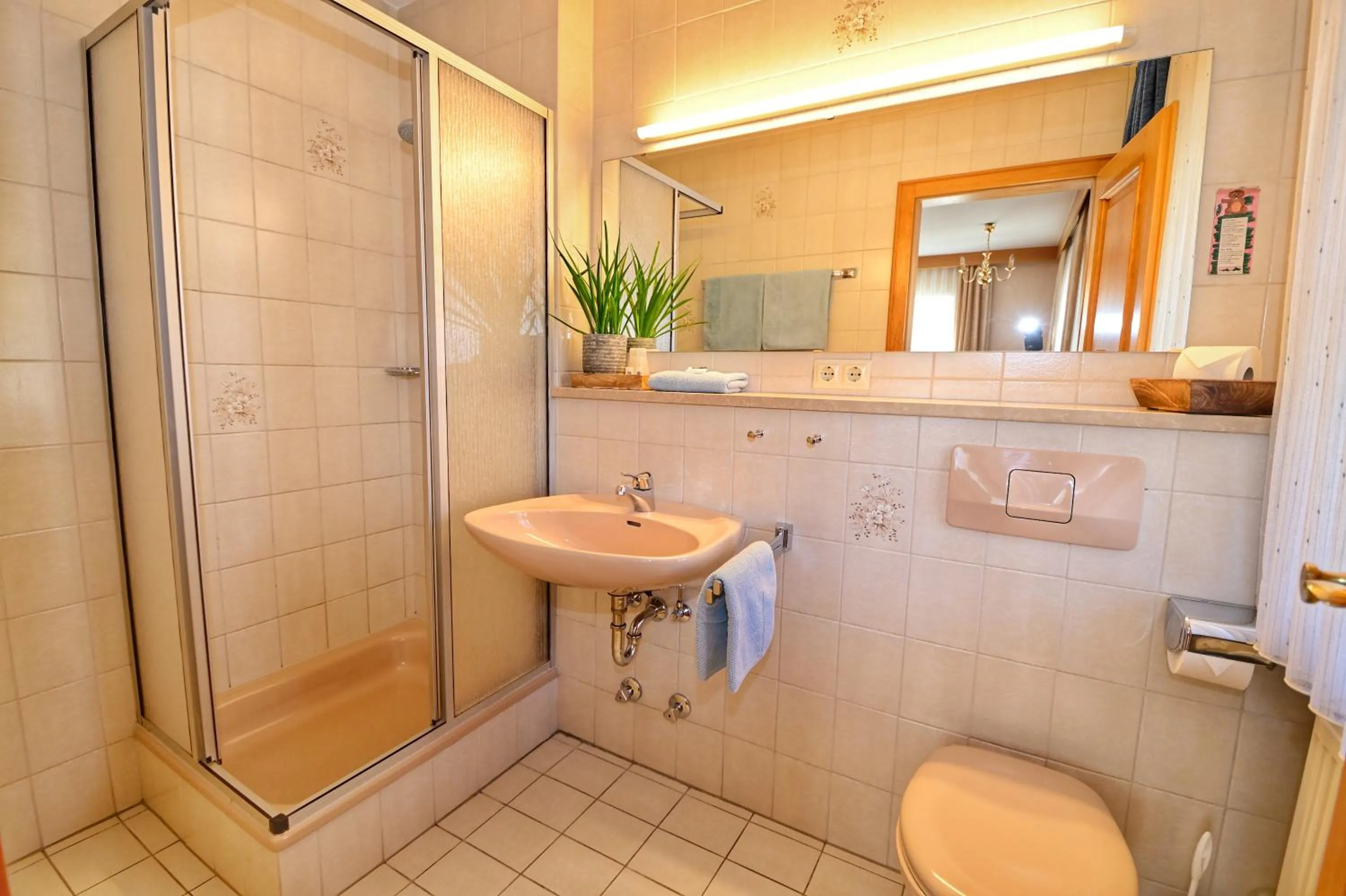 Shower in Gasthof Oberwirt