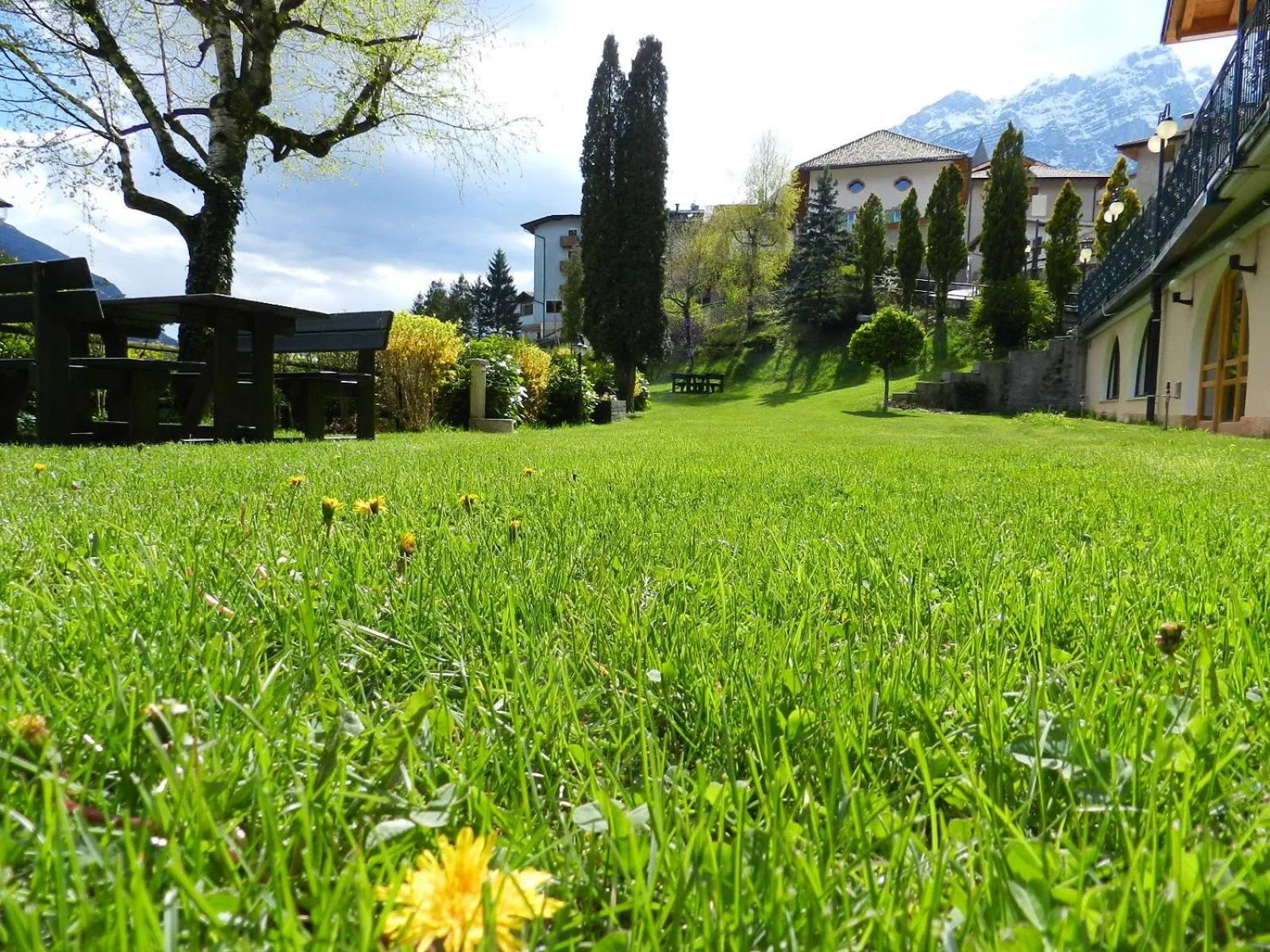 Garden in Charme Hotel Nevada