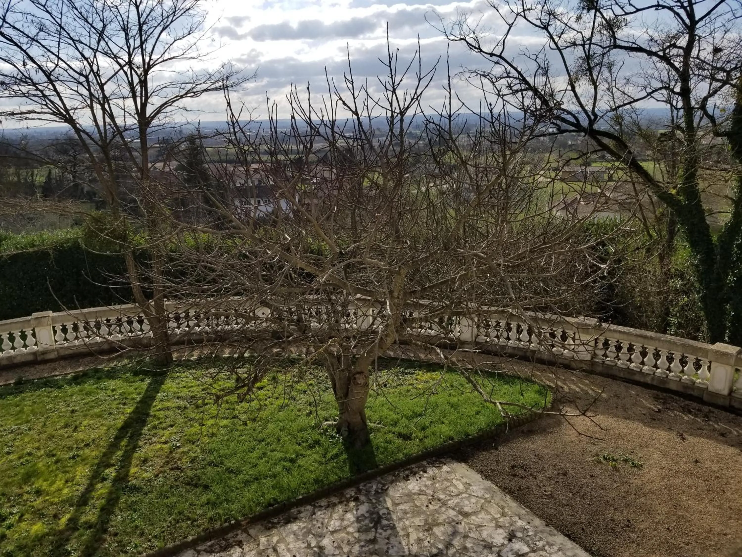 Garden in Domaine de Bellevue