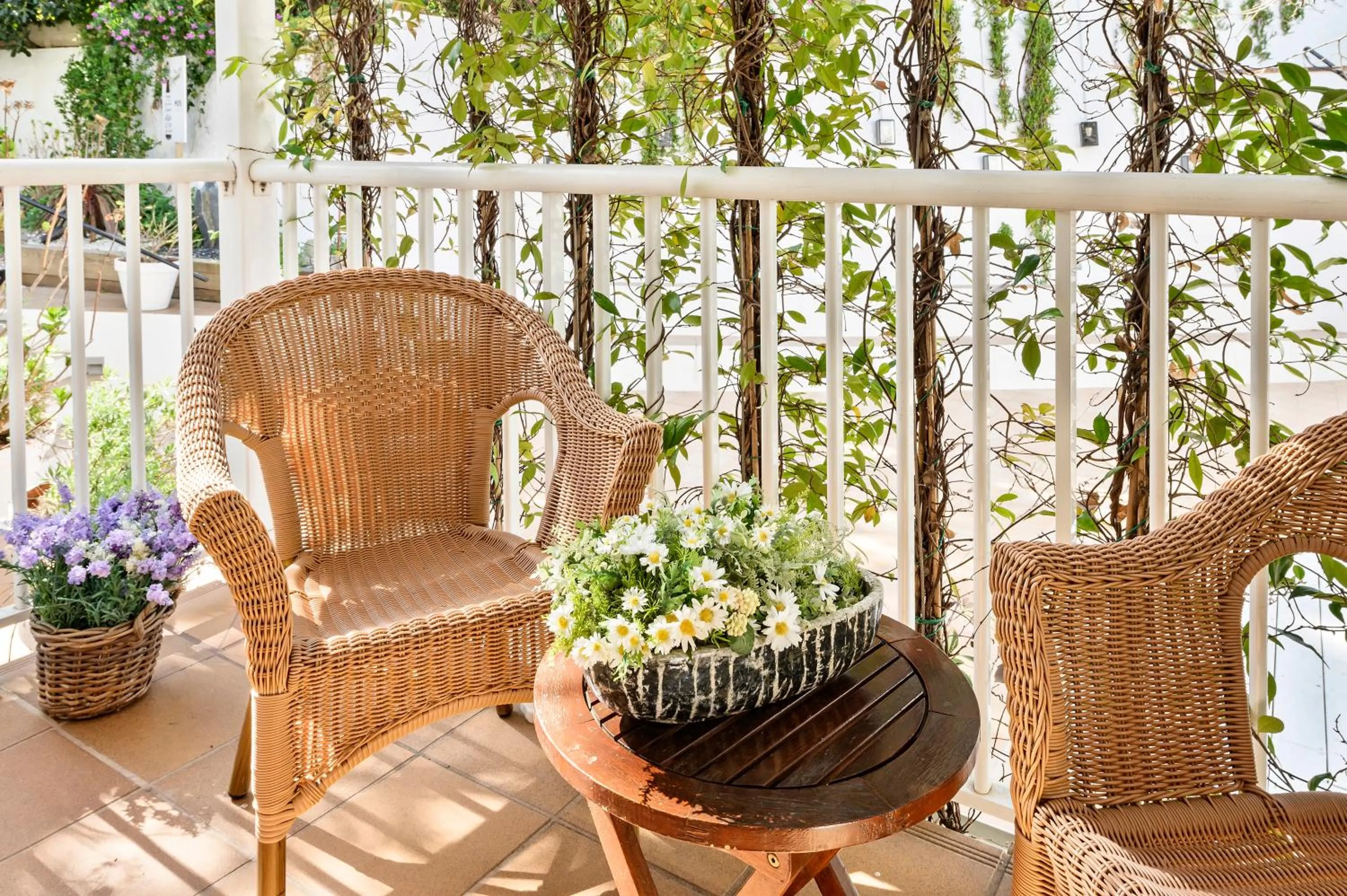 Balcony/Terrace in La Goleta