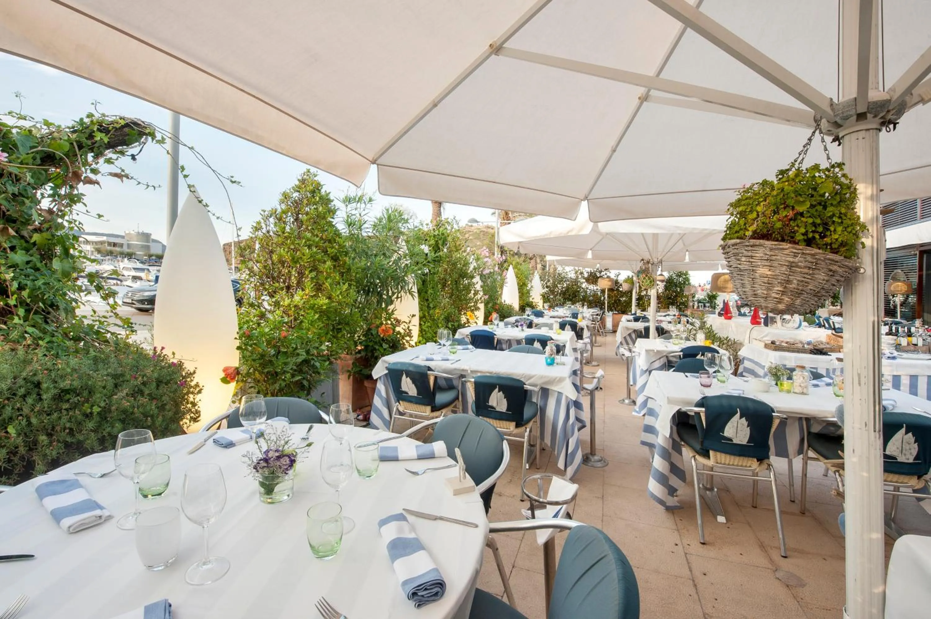 Restaurant/places to eat in La Goleta