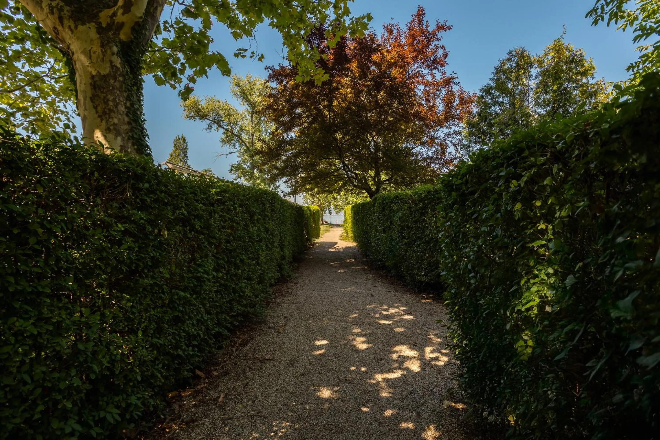Garden view in Partvilla Balatonboglar