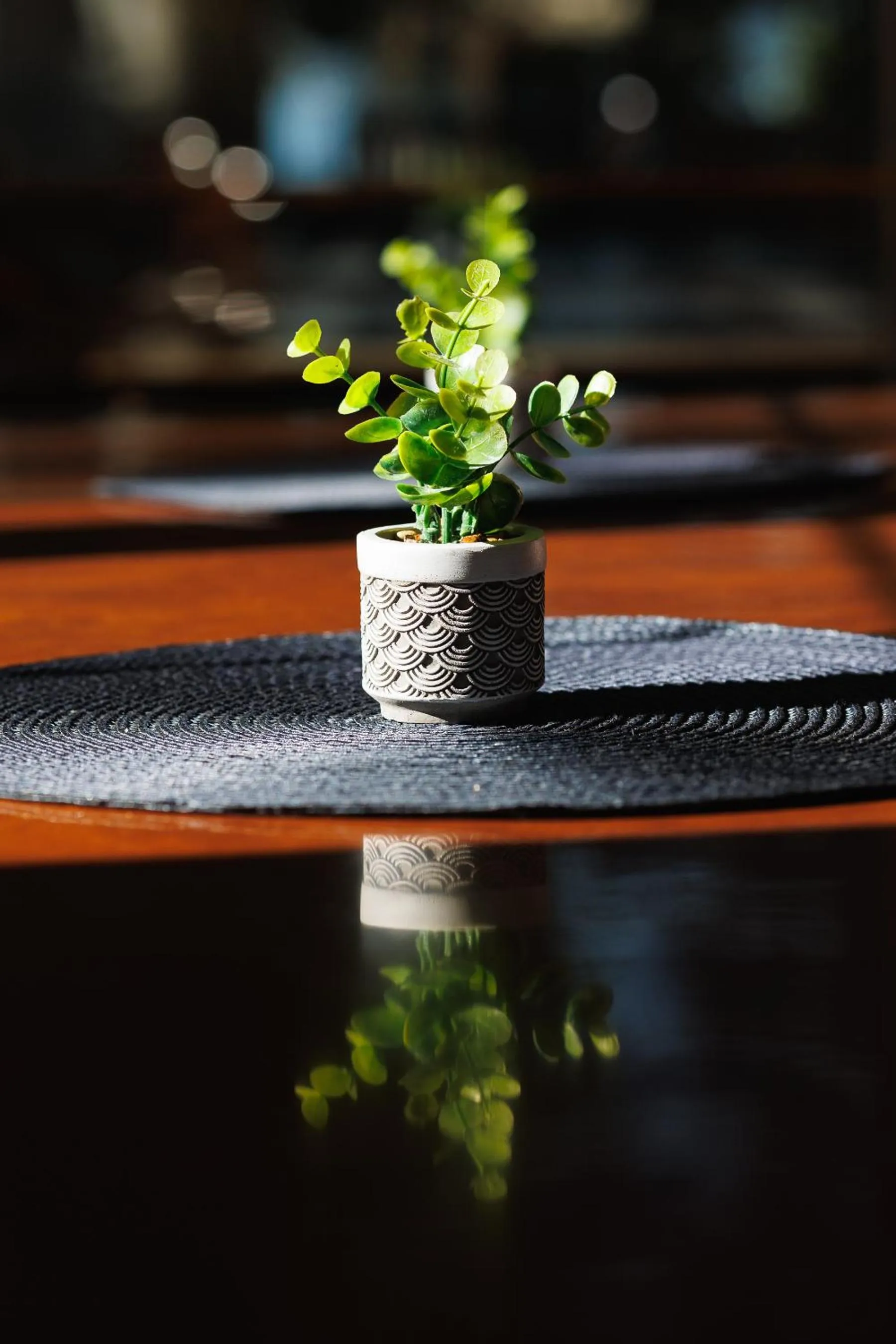 Restaurant/places to eat in Partvilla Balatonboglar