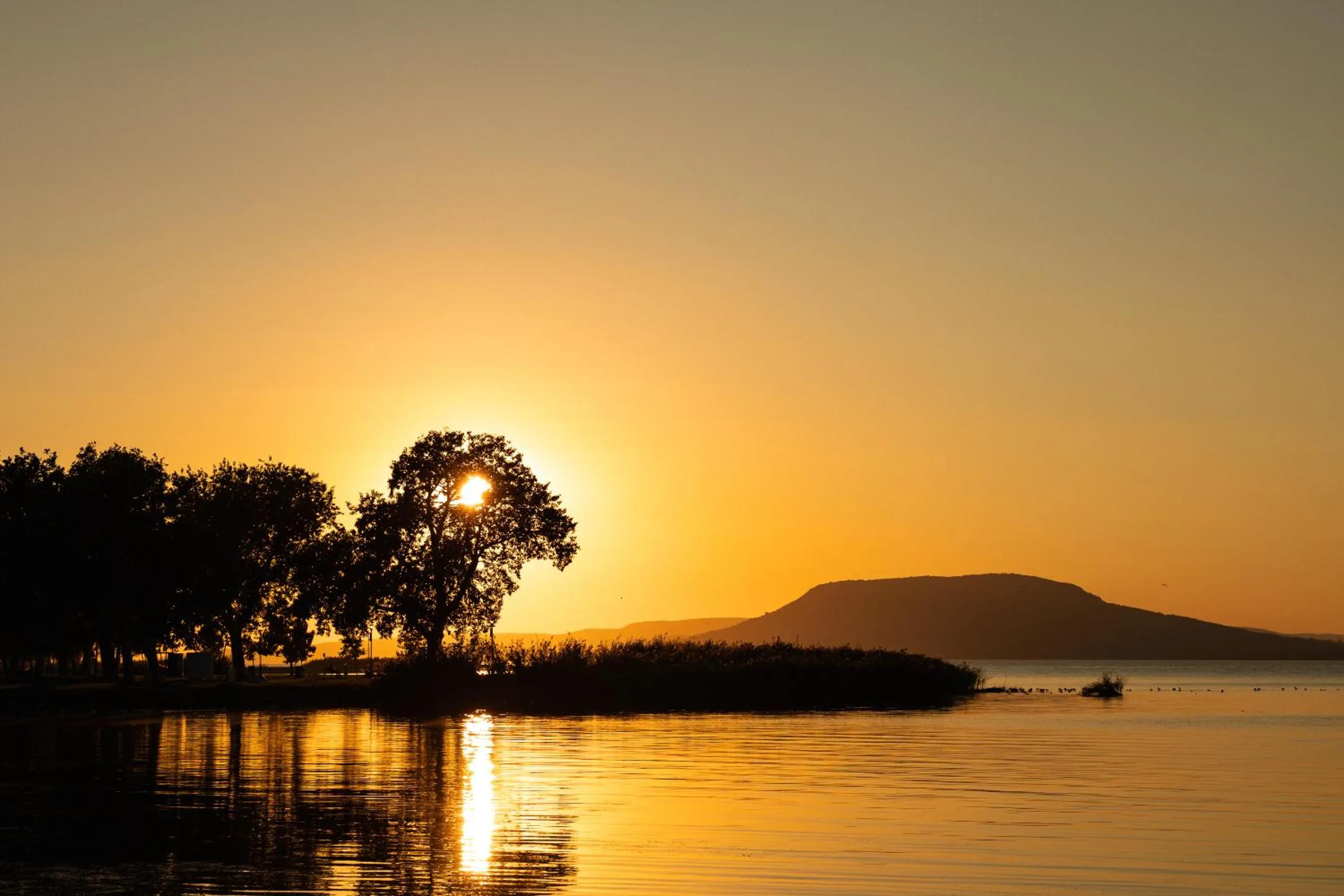 View (from property/room) in Partvilla Balatonboglar