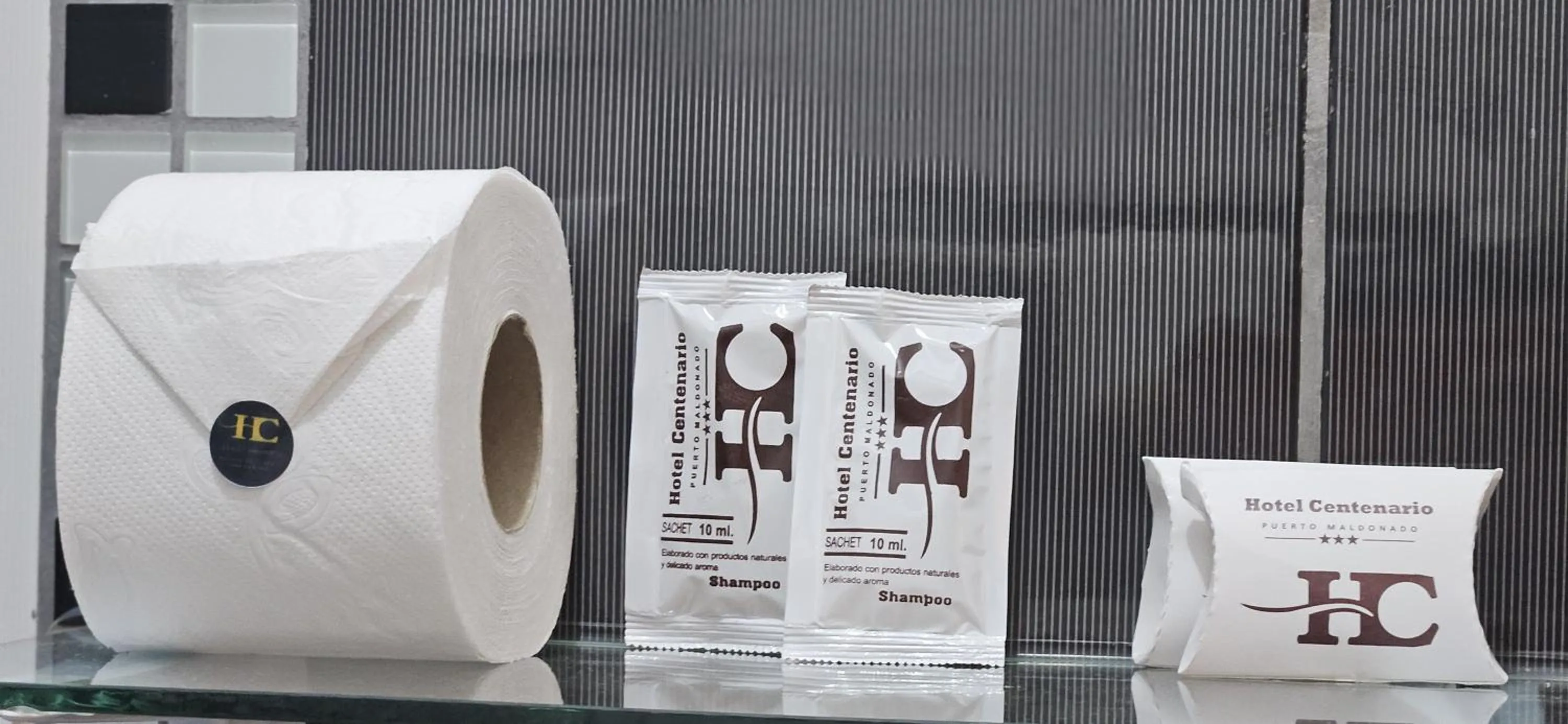 Toilet in Hotel Centenario