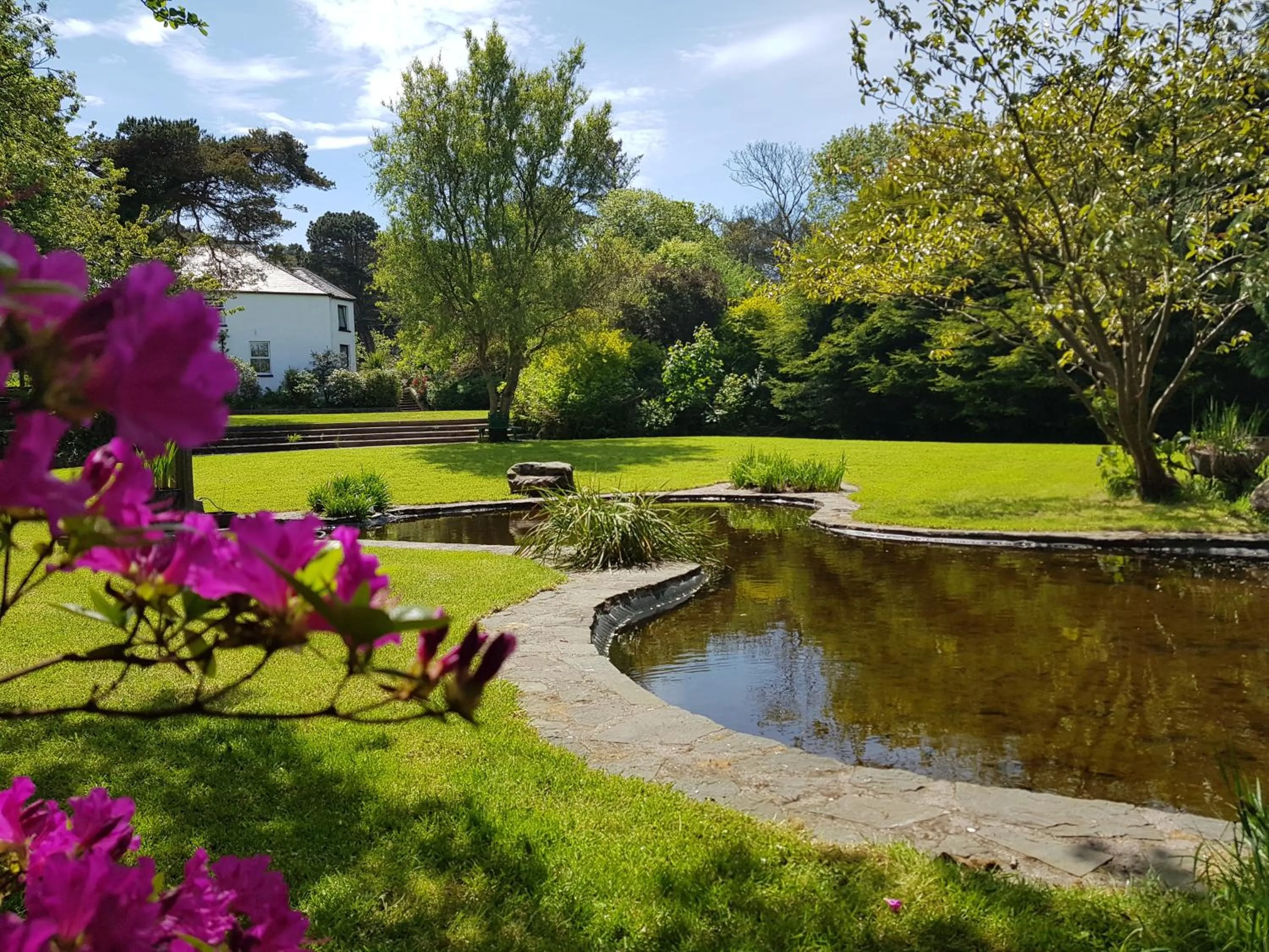 Spring in The Glenbeigh Hotel