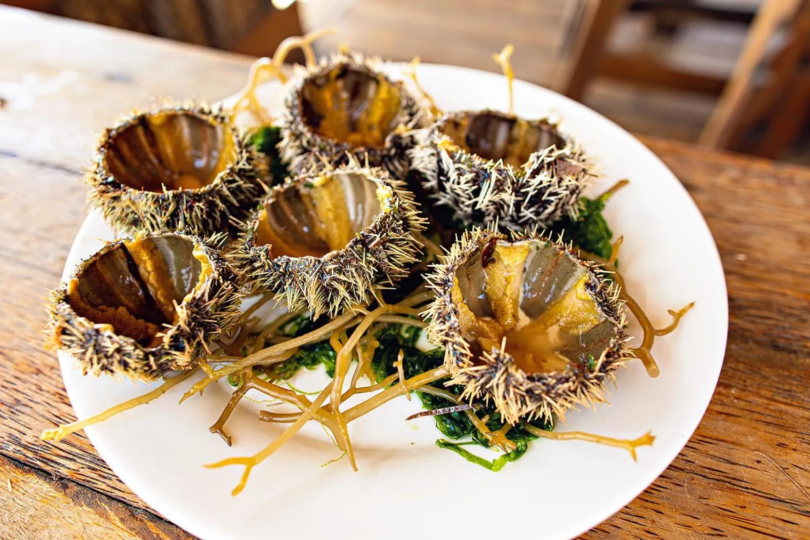 Food in The Island - Pongwe Lodge