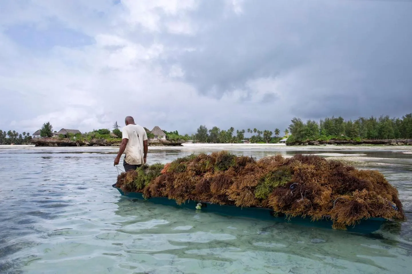 Neighbourhood in The Island - Pongwe Lodge