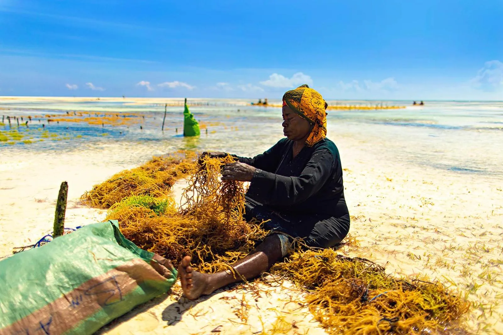 Beach in The Island - Pongwe Lodge