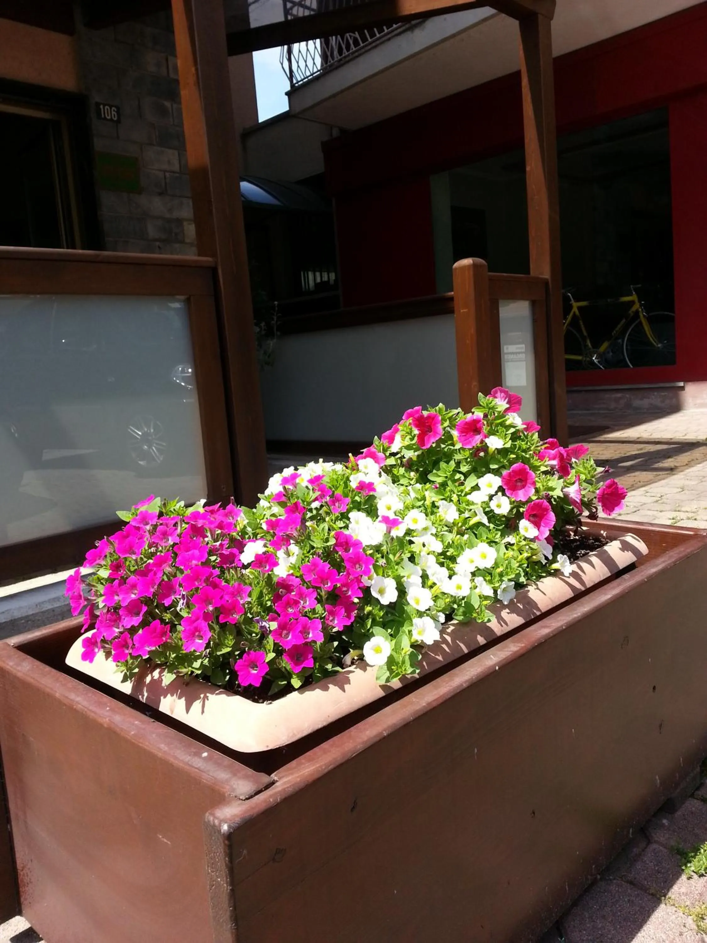Facade/entrance in Albergo Carla