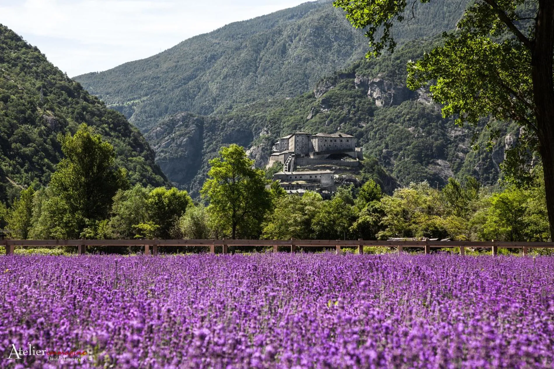 Natural landscape in Albergo Carla