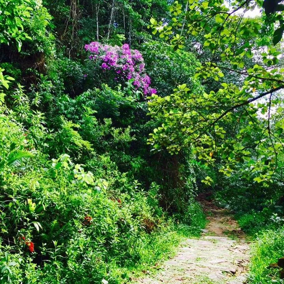Property building in Pousada Alpenhof