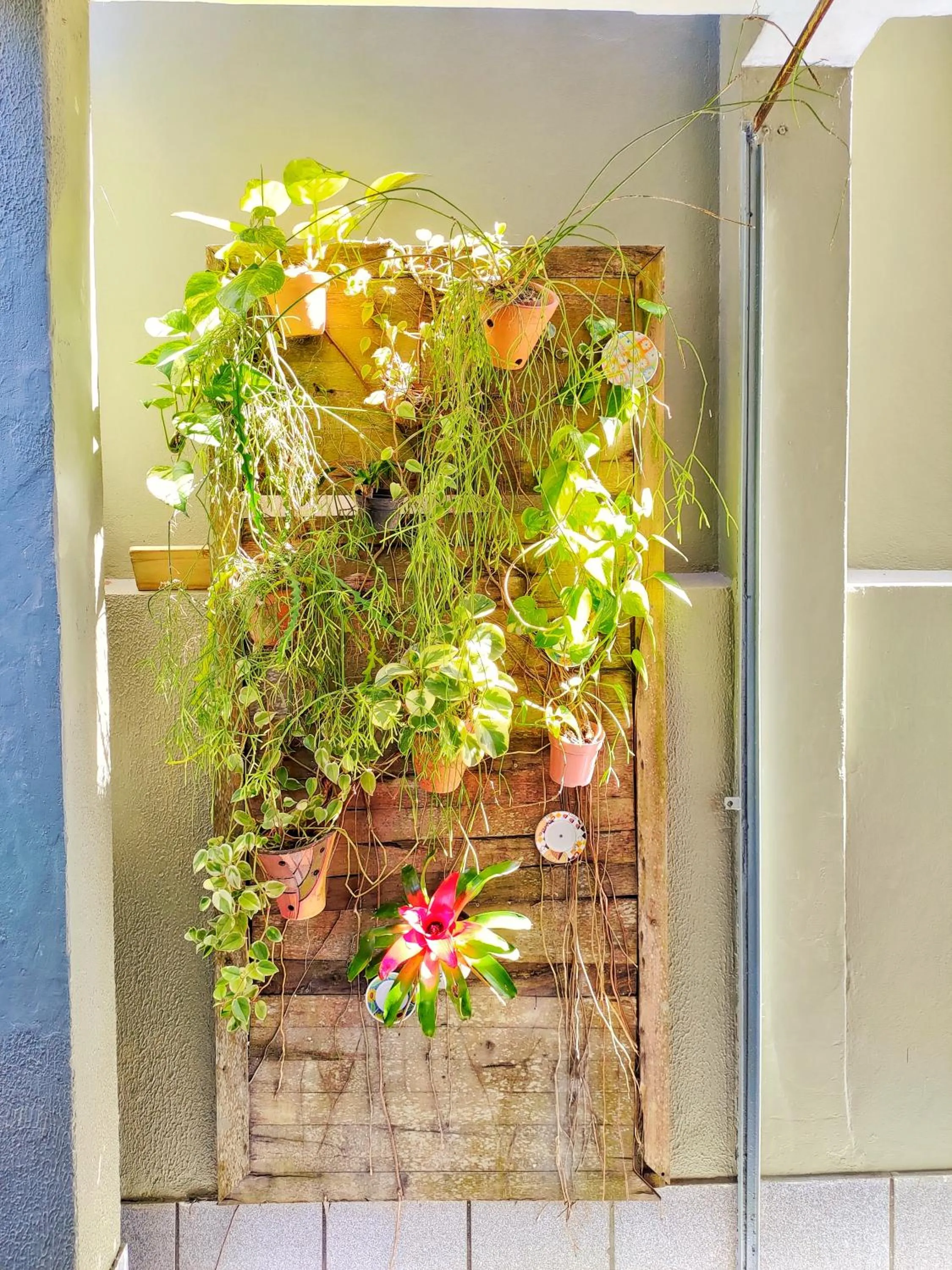 Spring in Casa Rústica