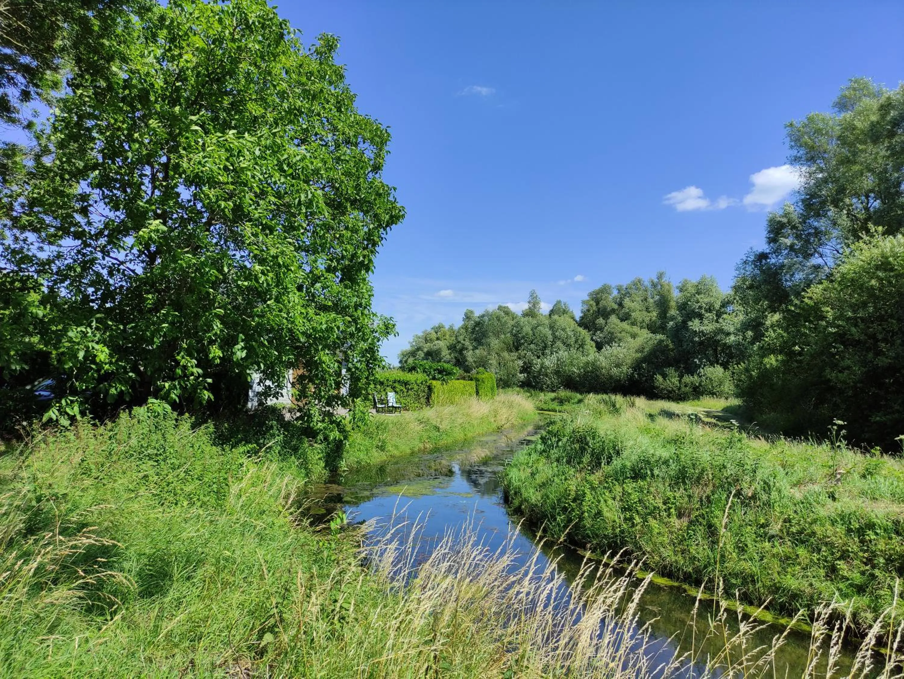 River view in B&B Het Zwanennest