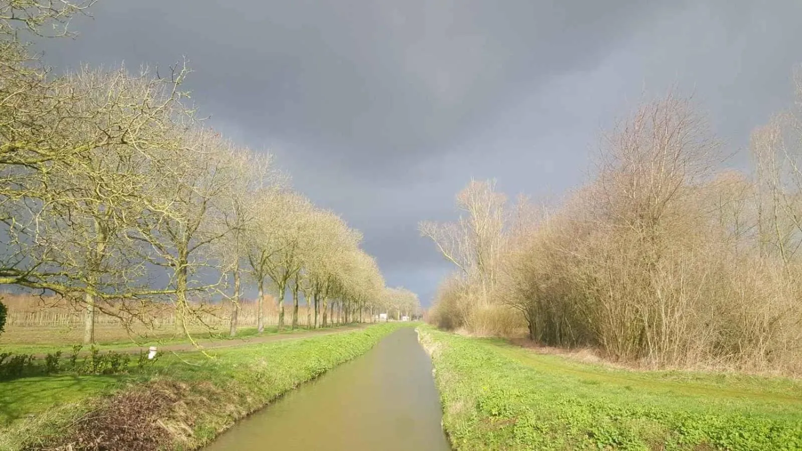 Natural landscape in B&B Het Zwanennest