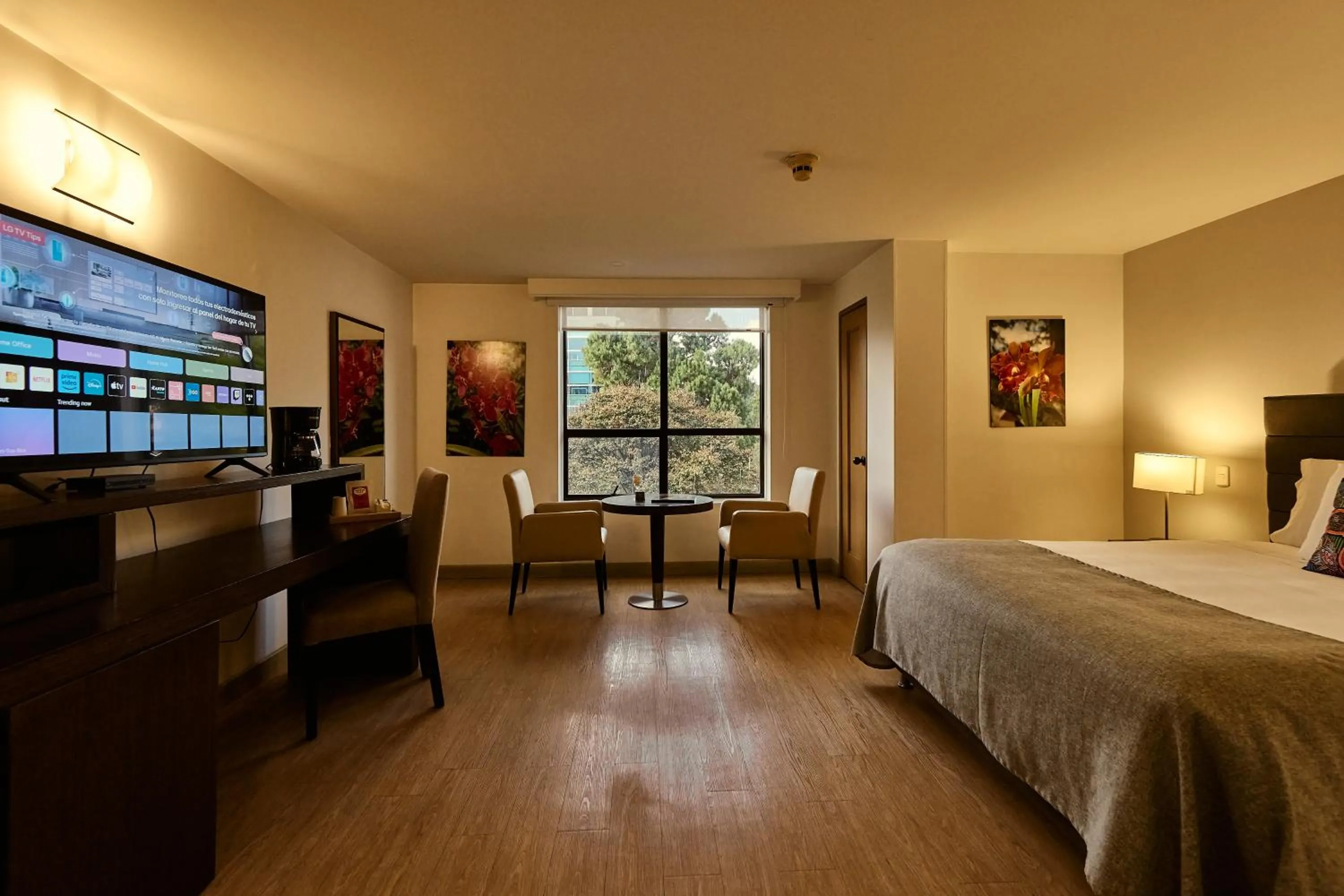 Photo of the whole room, Bed in Hotel Parque 97