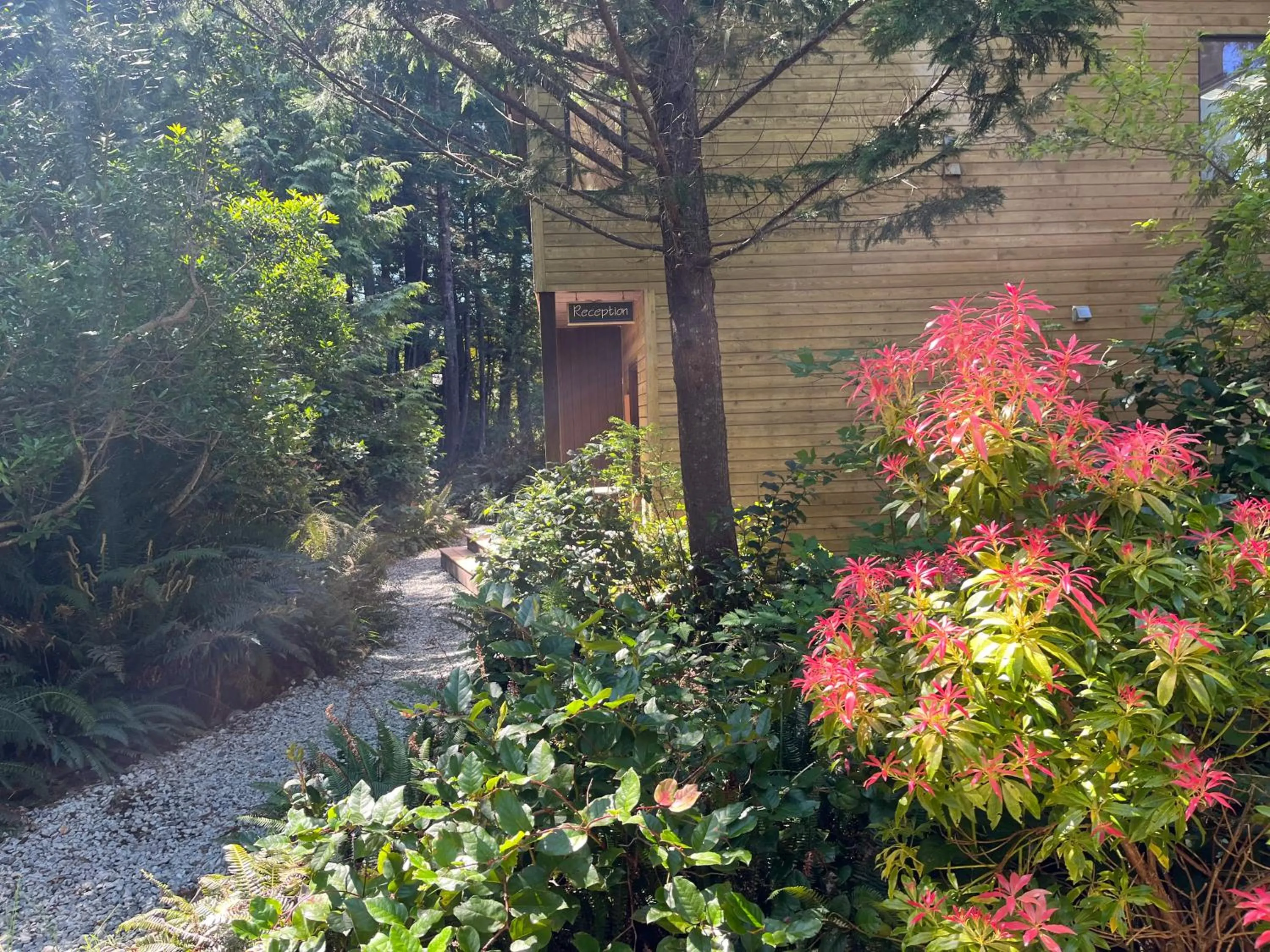 Property building in Hyphocus Inn