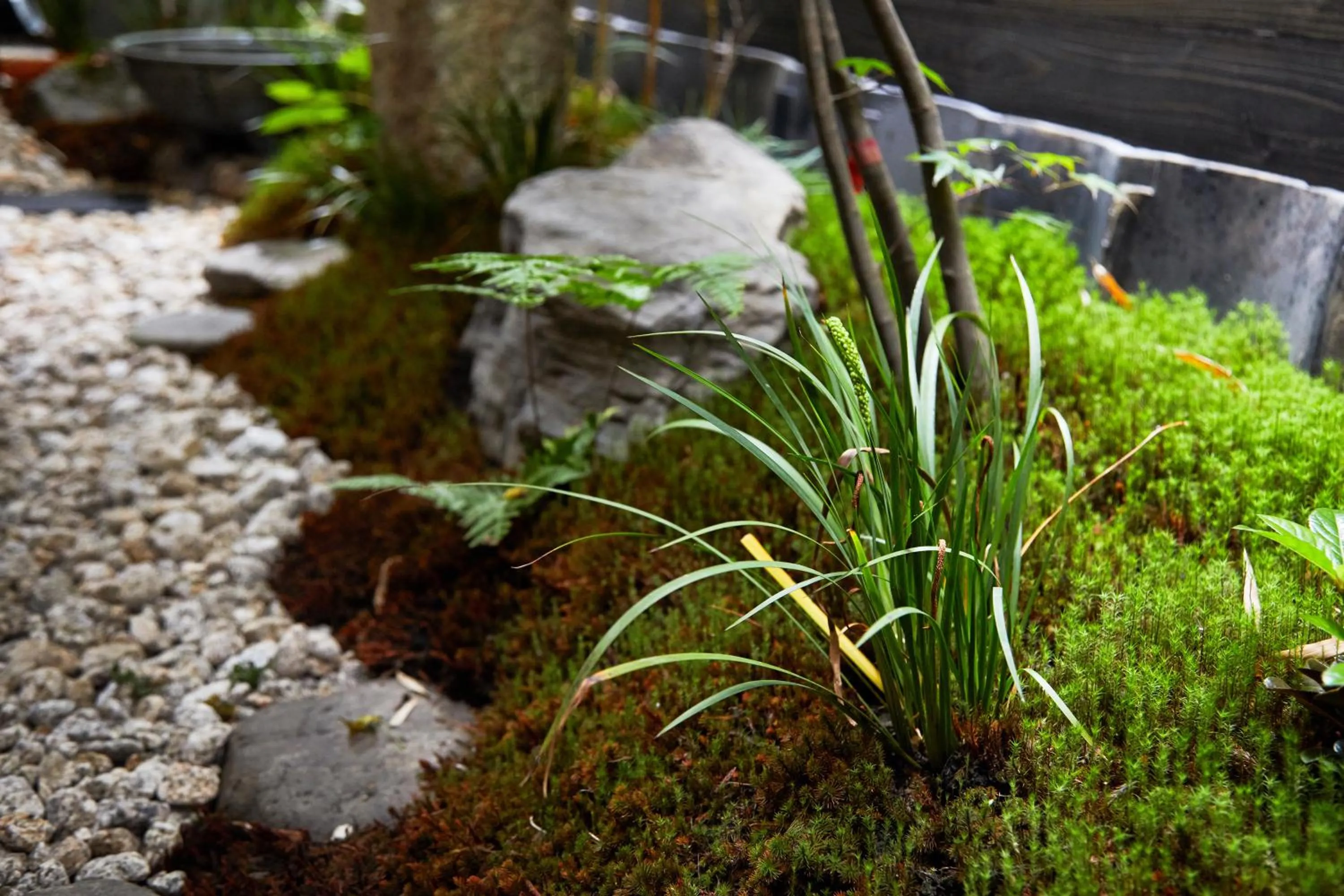 Garden in Marukyo Gakurin-an