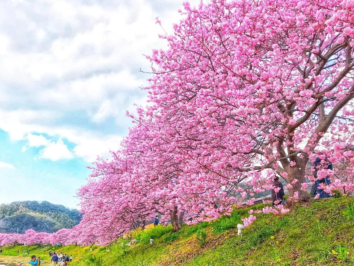 Nearby landmark in Shimoda Yamatokan
