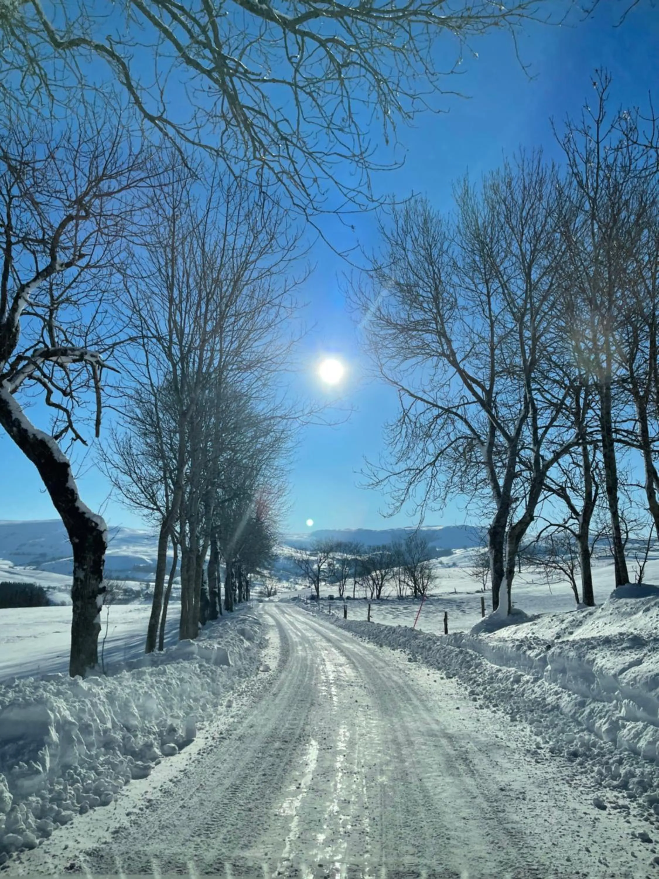Natural landscape in Auberge du Cezallier