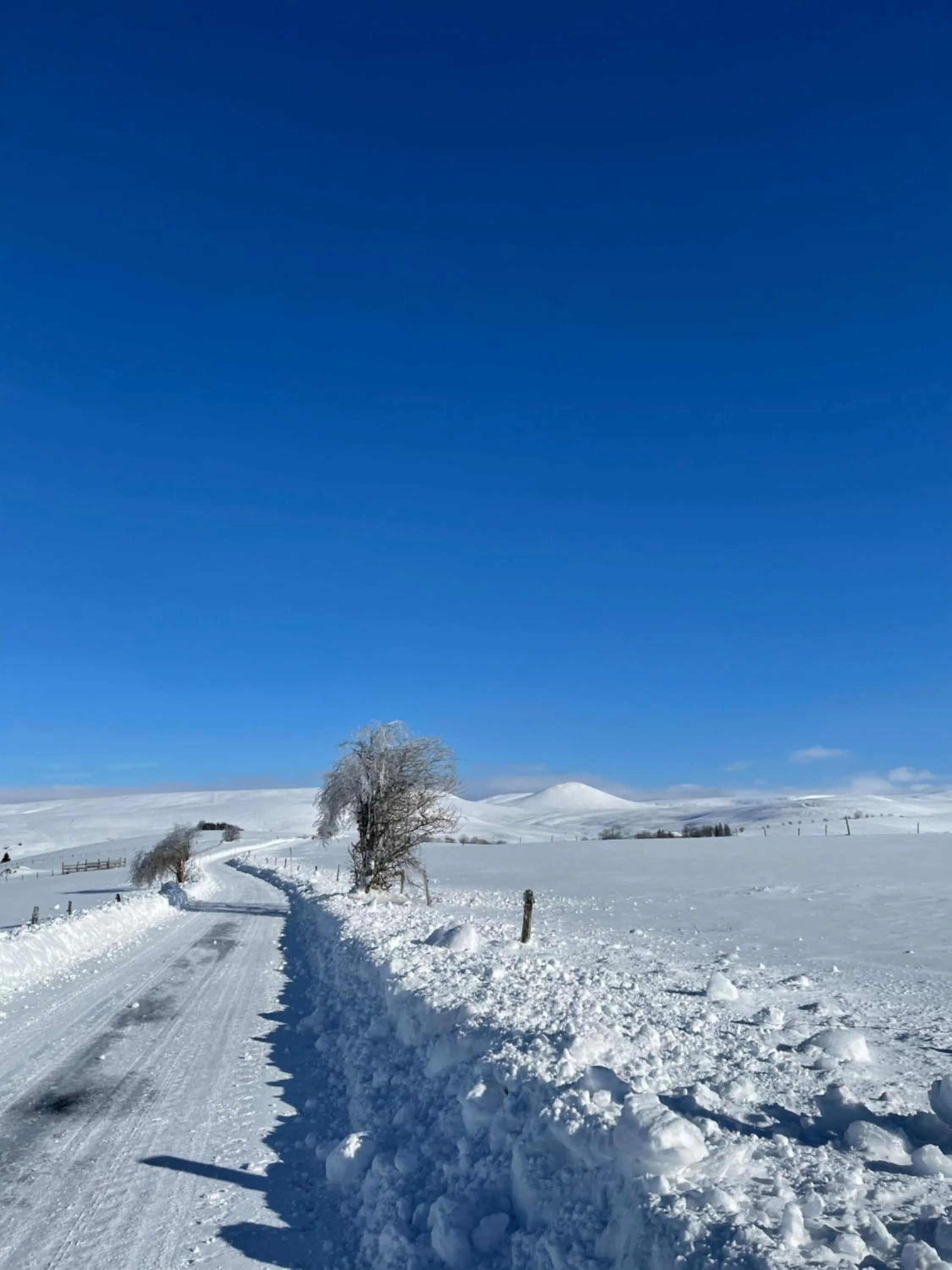 Natural landscape in Auberge du Cezallier