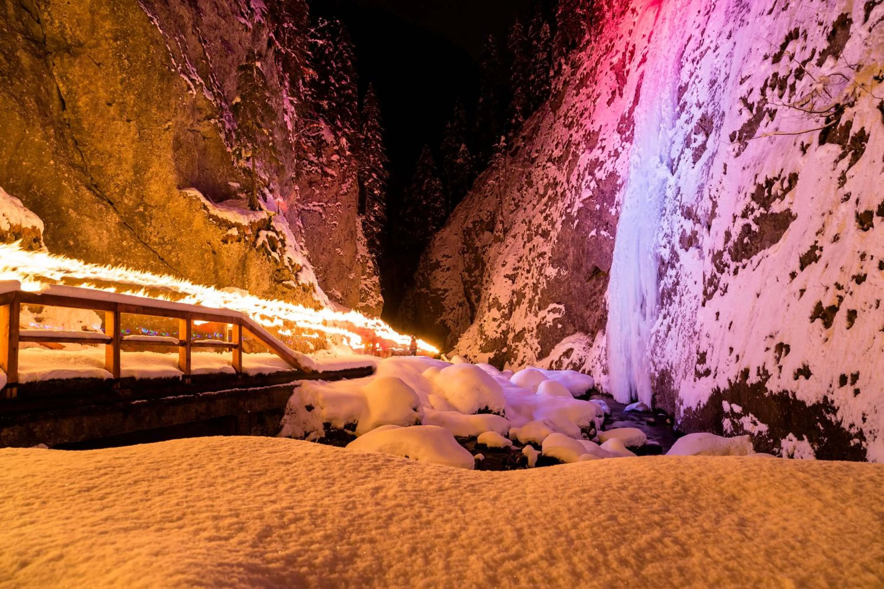 Activities in Pineta Pastry Hotel