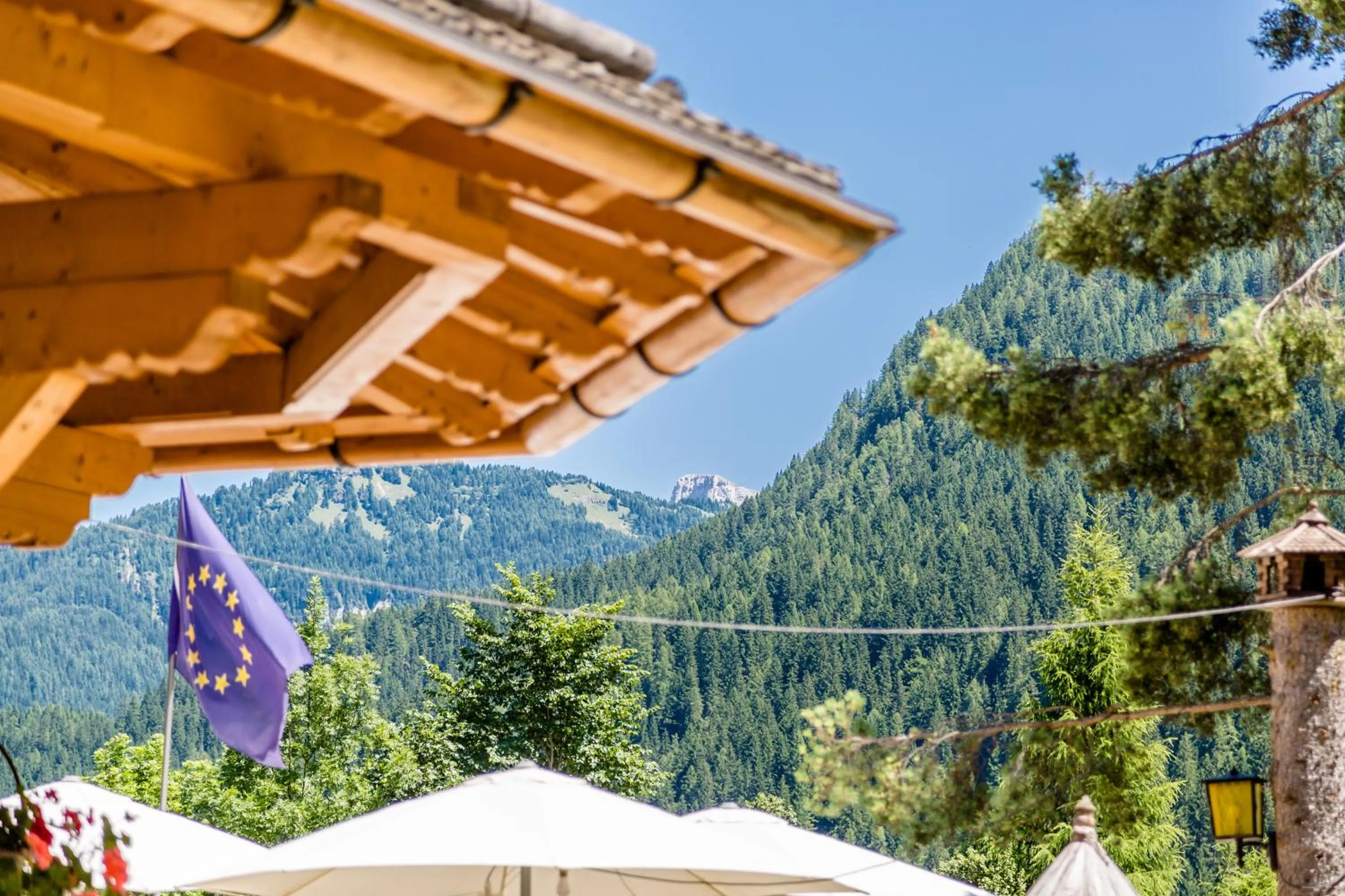 Mountain view in Pineta Pastry Hotel