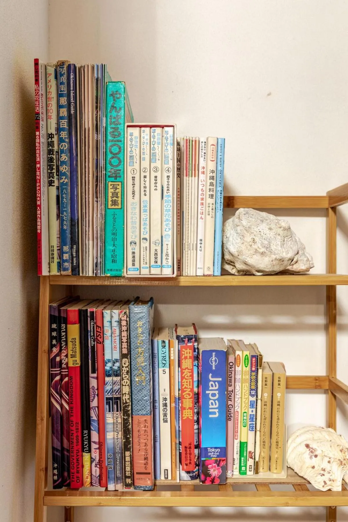 Library in #Nerome01 Traditional Okinawan House in Ogimi, bc