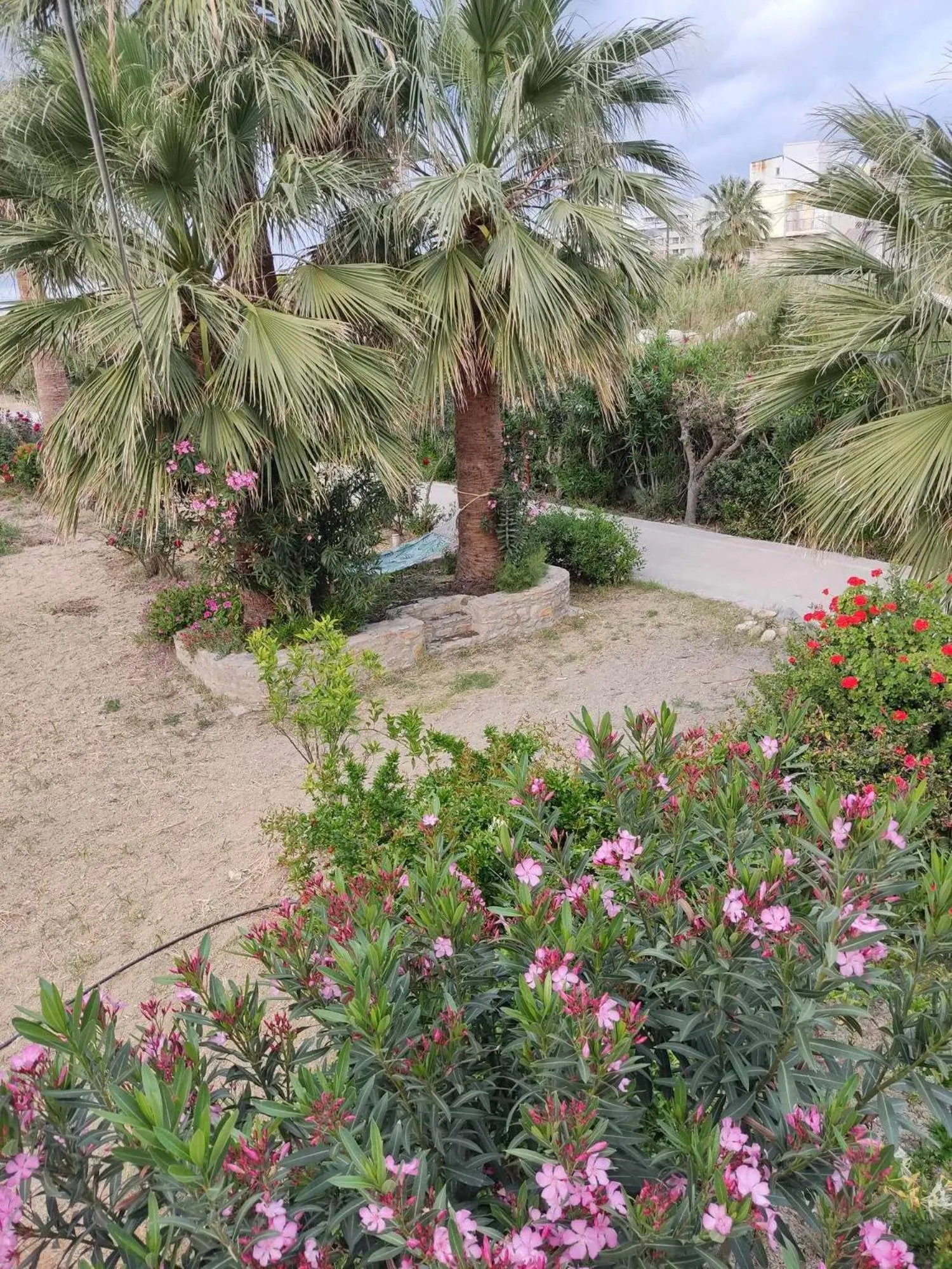 Garden in Violetta Hotel