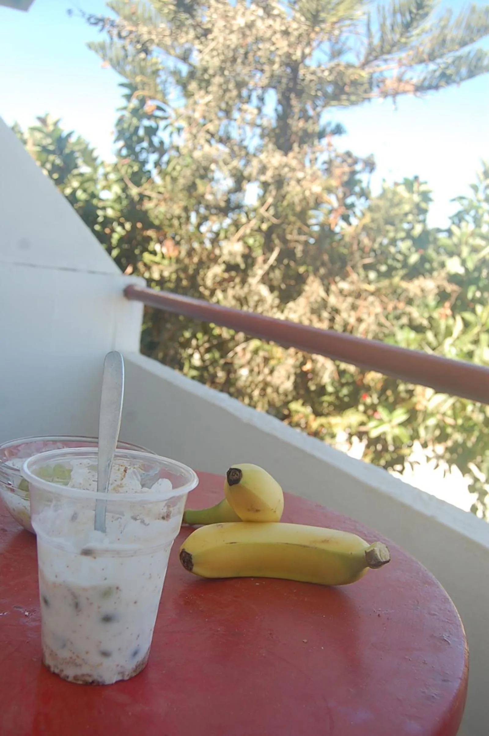 Food and drinks in Violetta Hotel