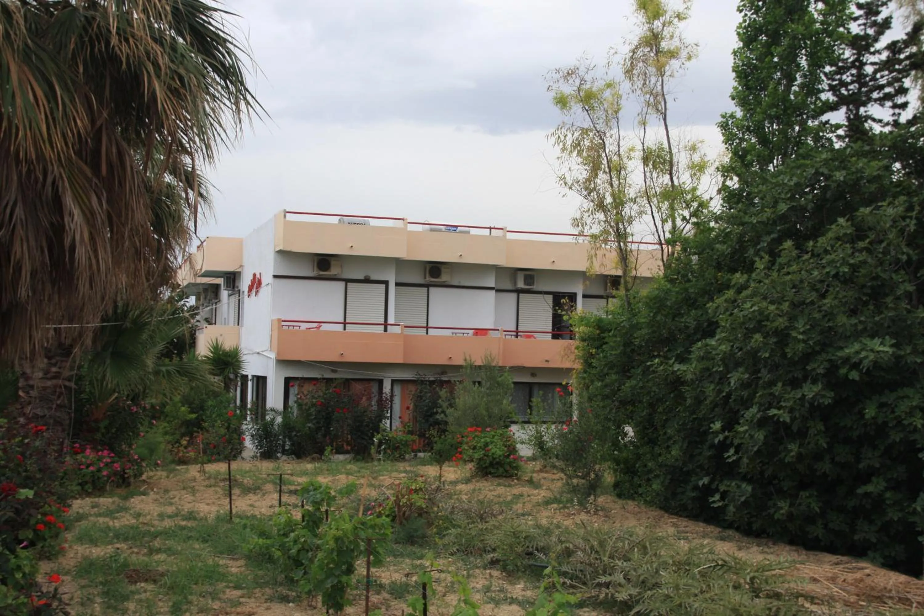 Property building in Violetta Hotel
