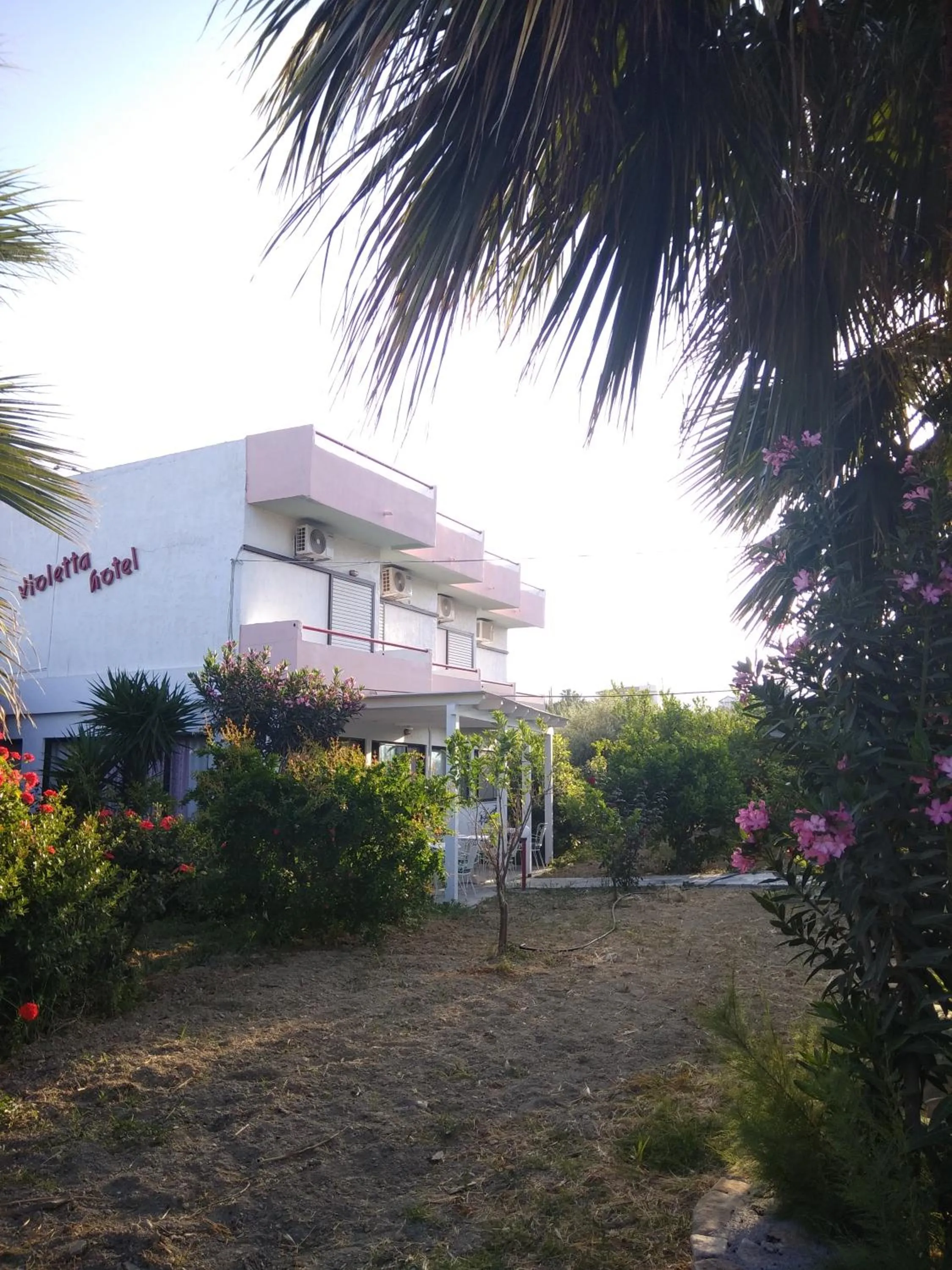 Property building in Violetta Hotel