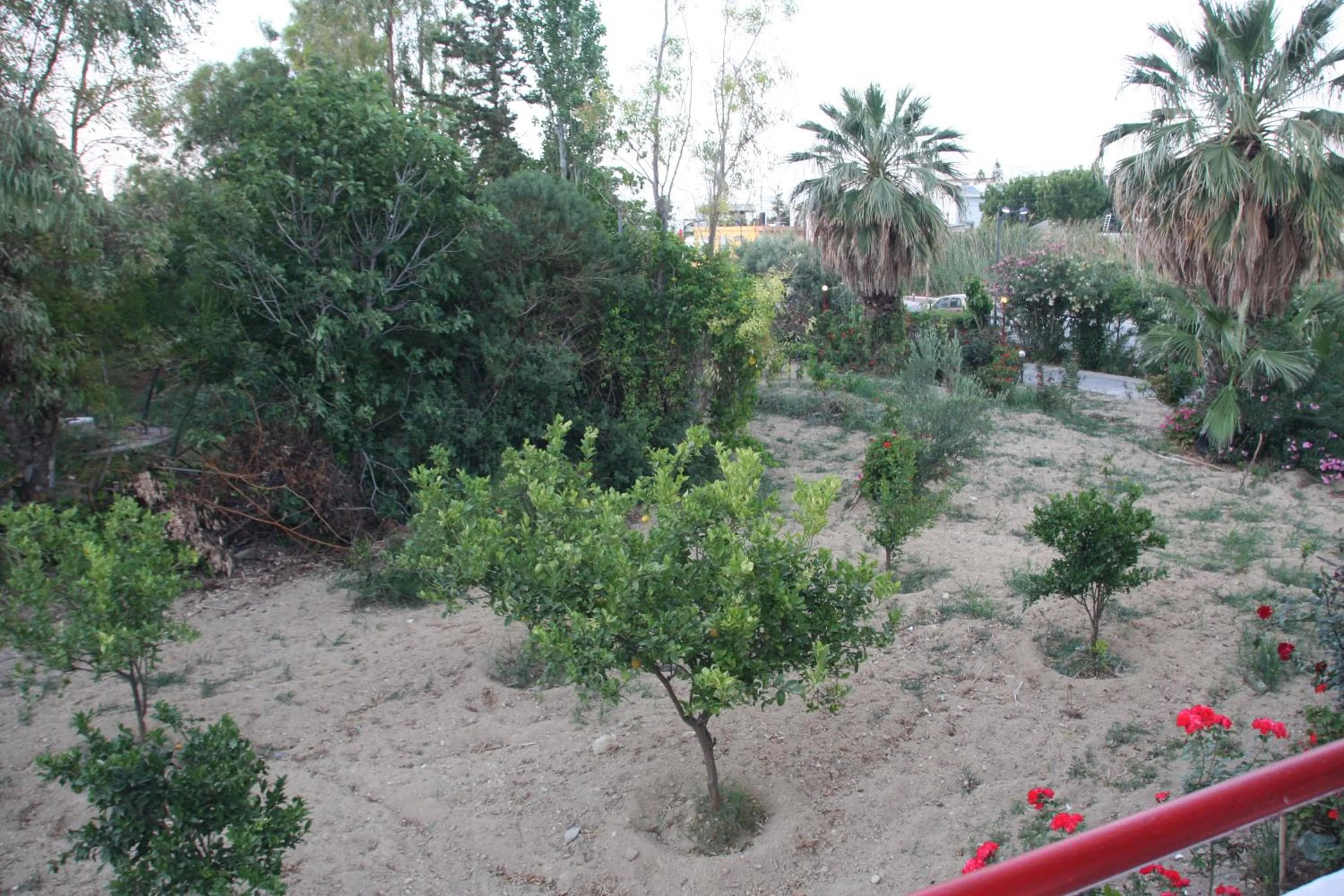 Garden view in Violetta Hotel