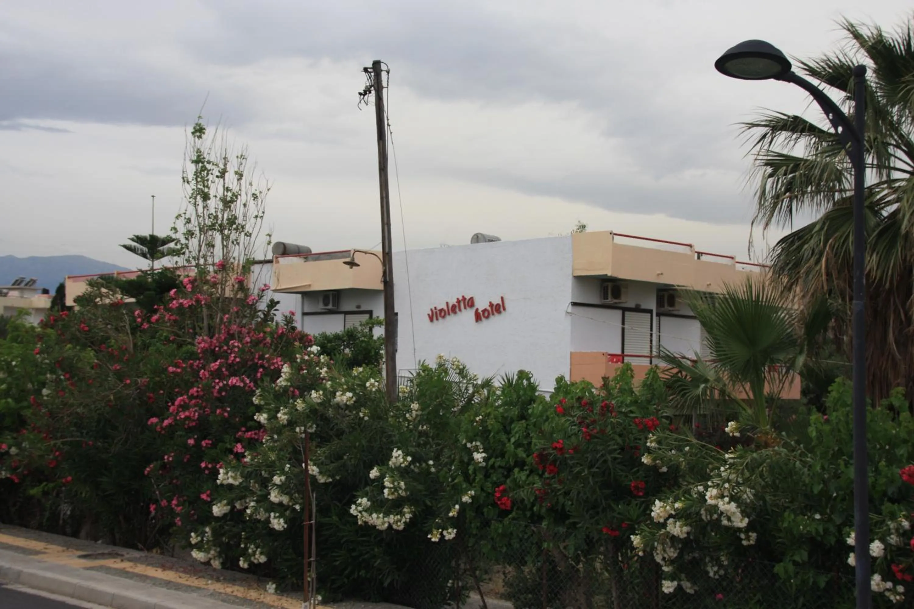 Property building in Violetta Hotel