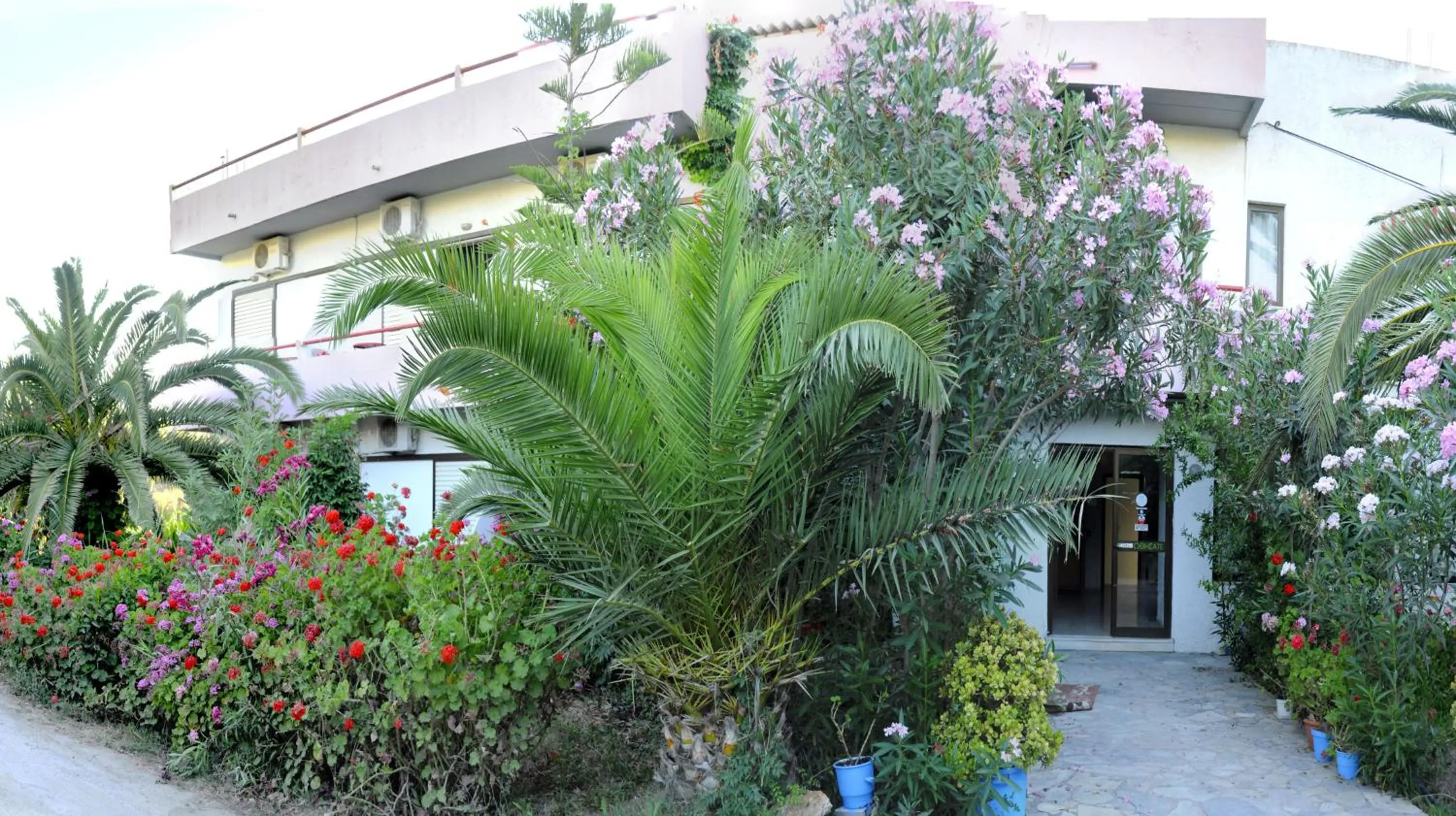 Facade/entrance in Violetta Hotel