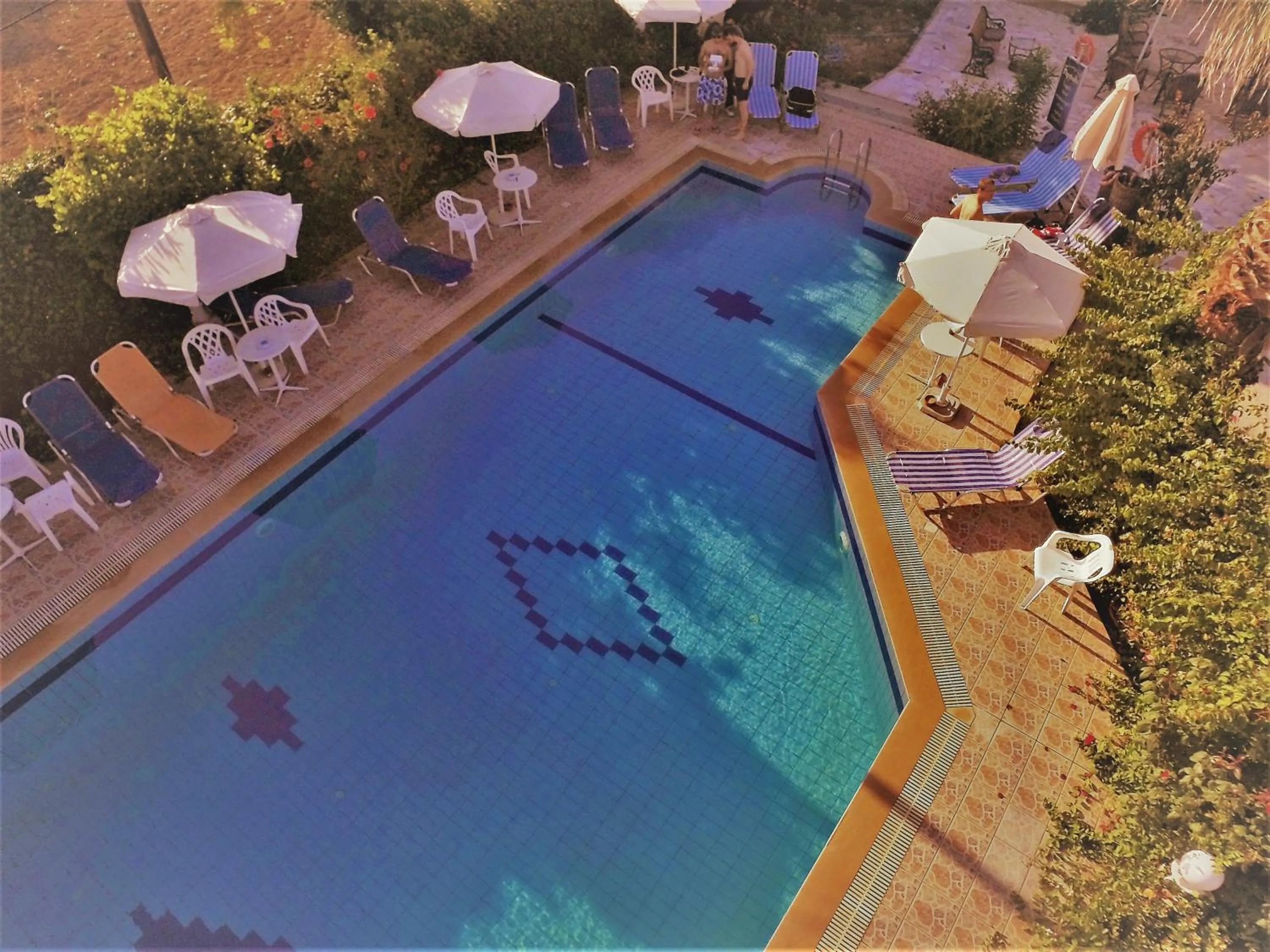 On site in Violetta Hotel