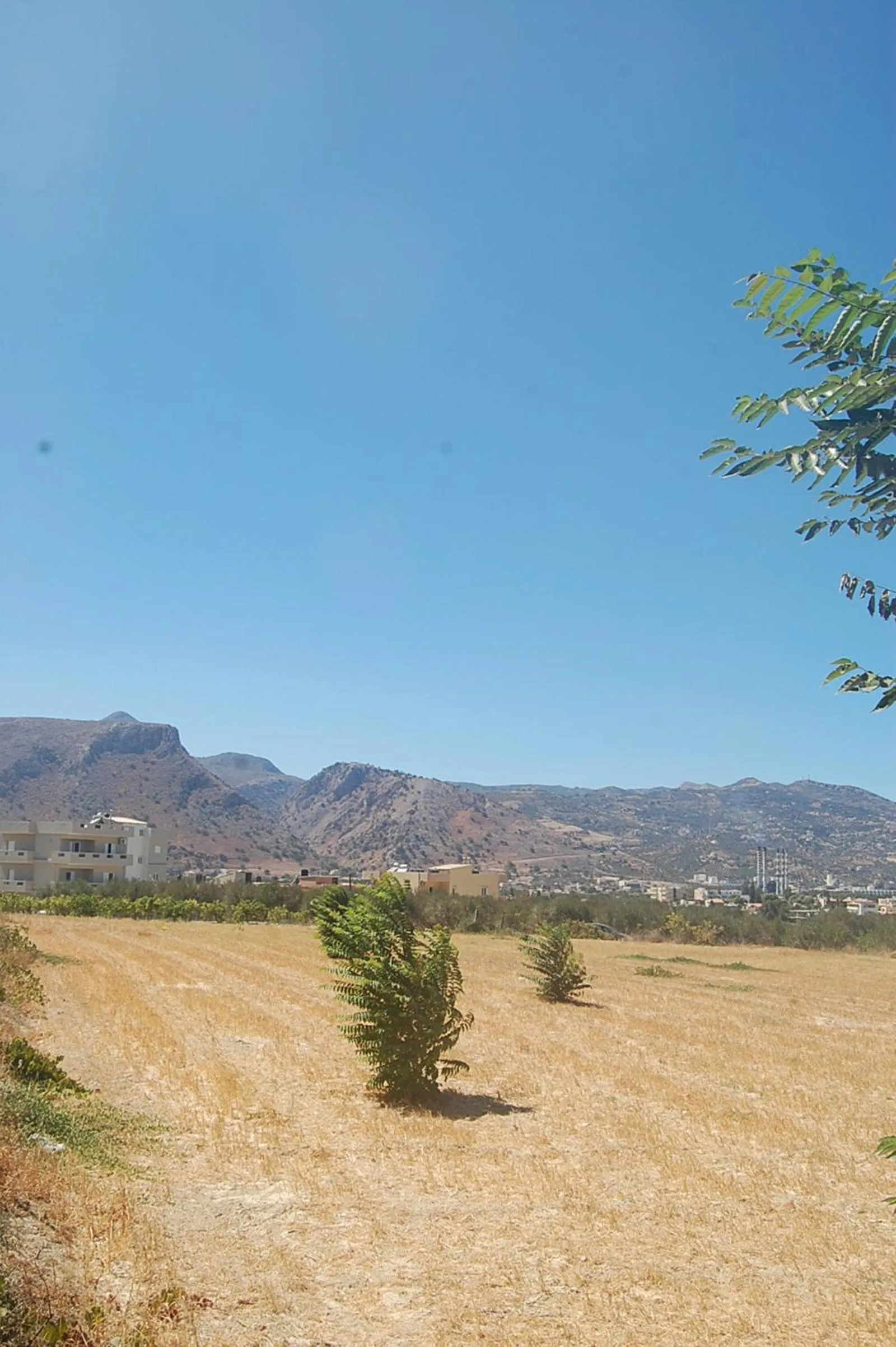 Off site in Violetta Hotel