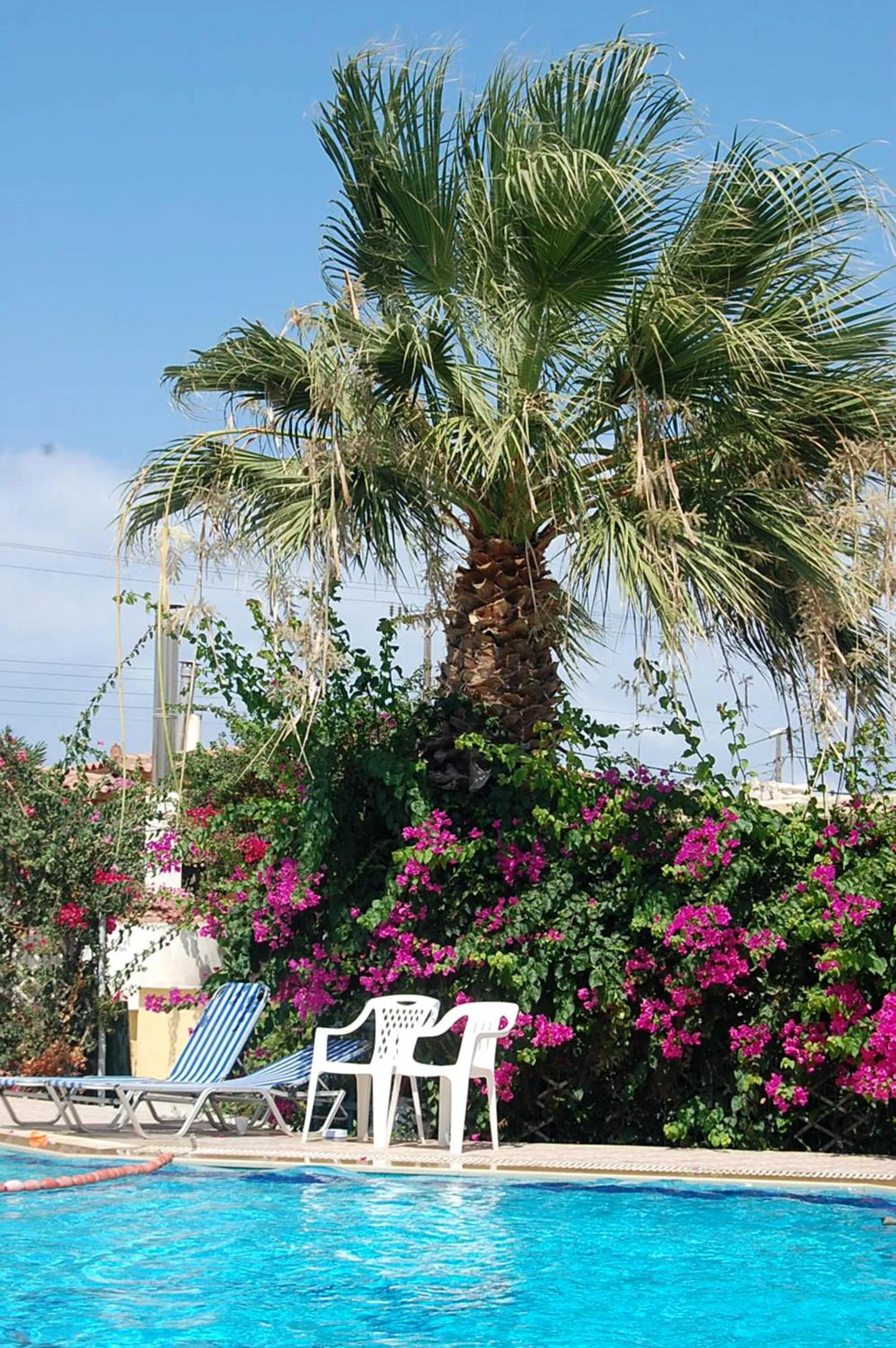 Swimming pool in Violetta Hotel