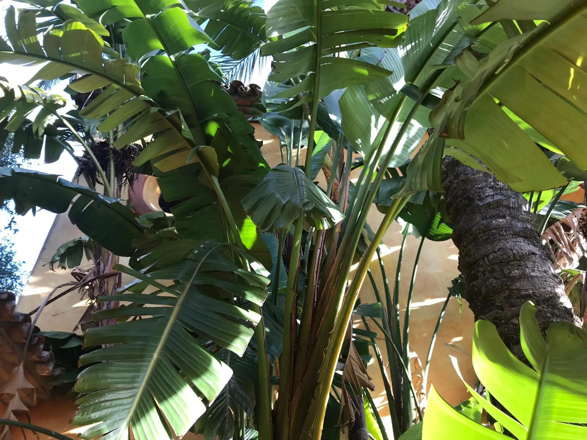 Property building in La Dulcinea