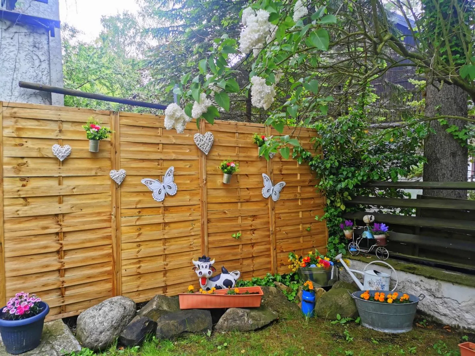 Spring in Malinowy Domek