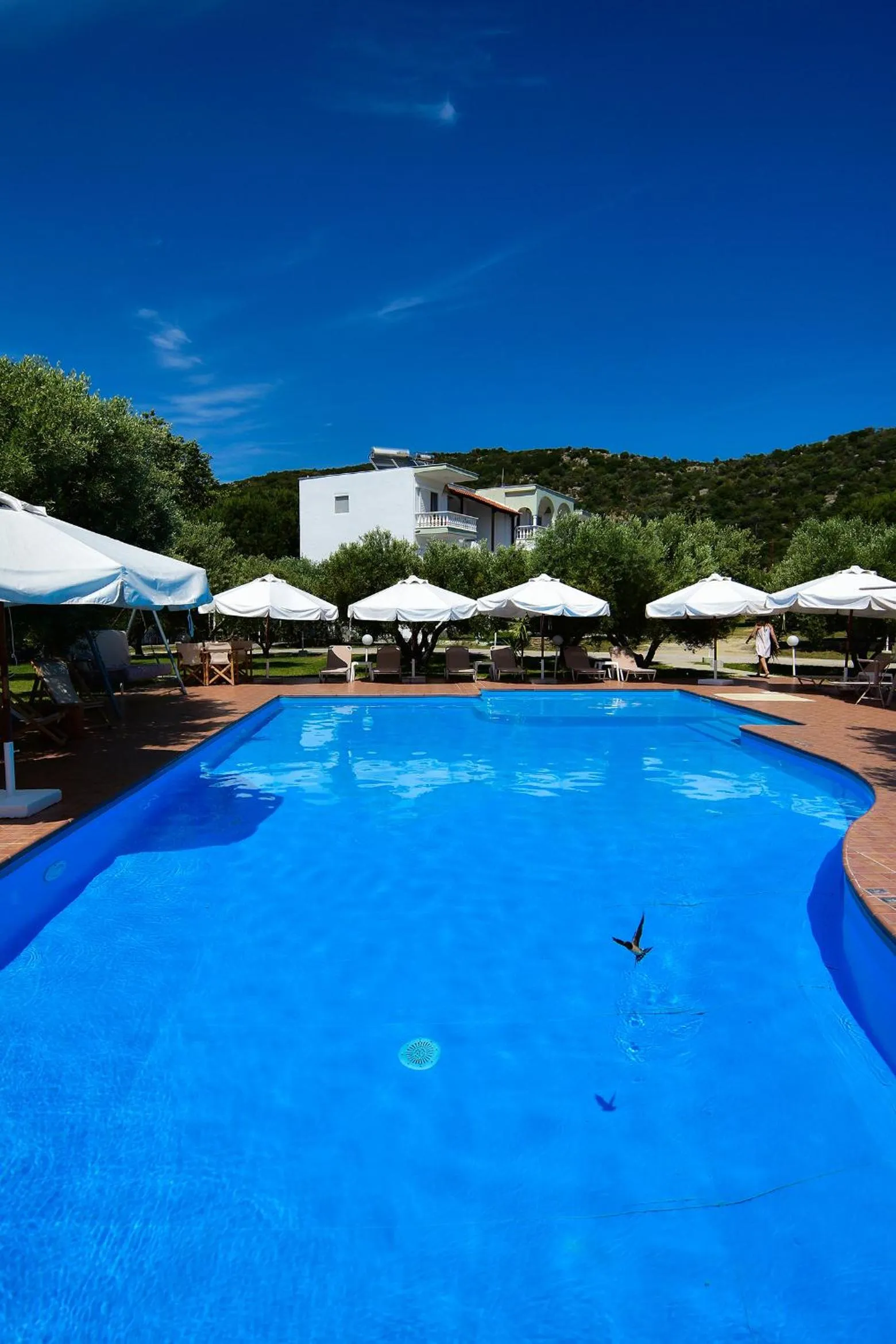 Garden in Haus Risos Next Generation