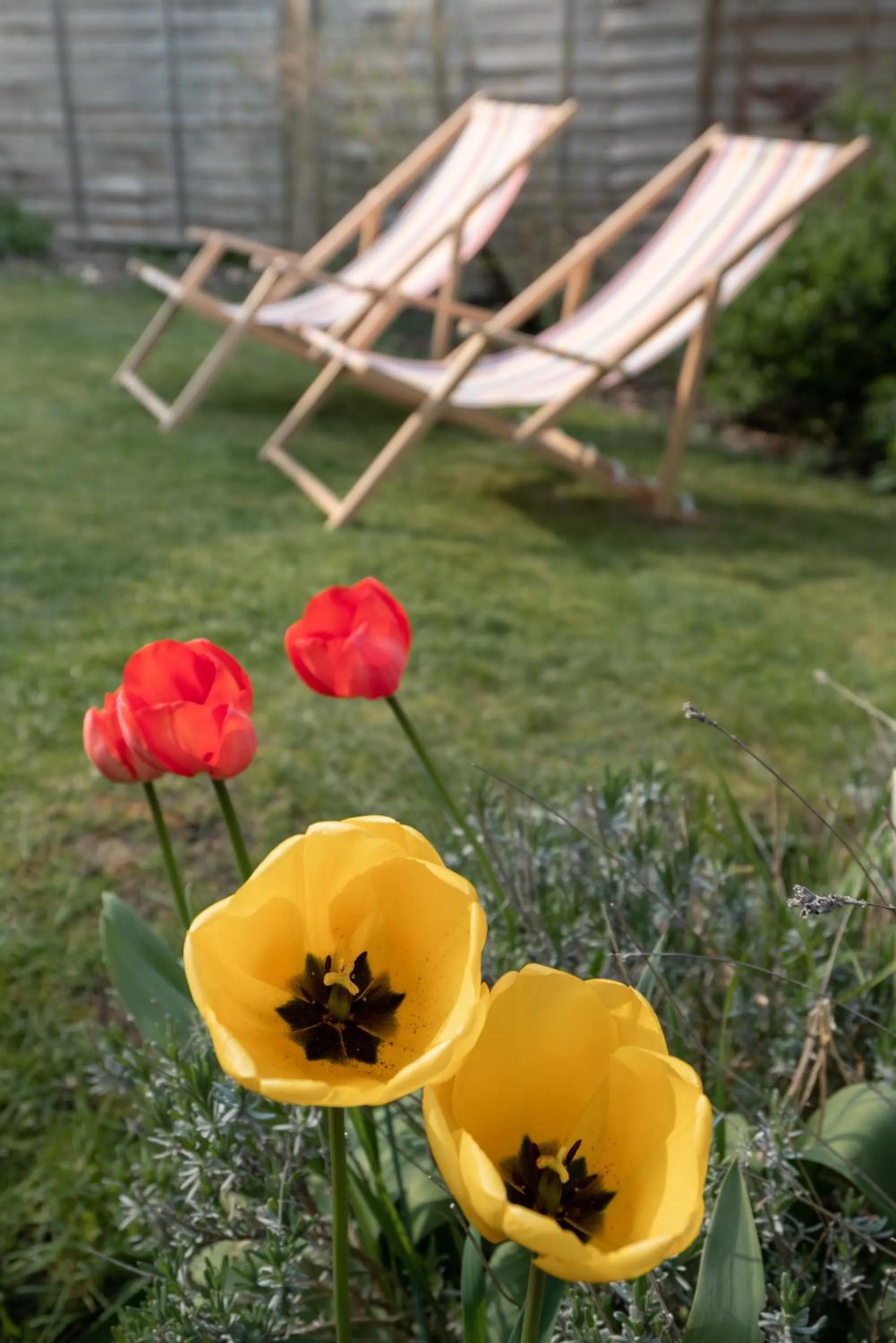 Garden in Henley self catering House