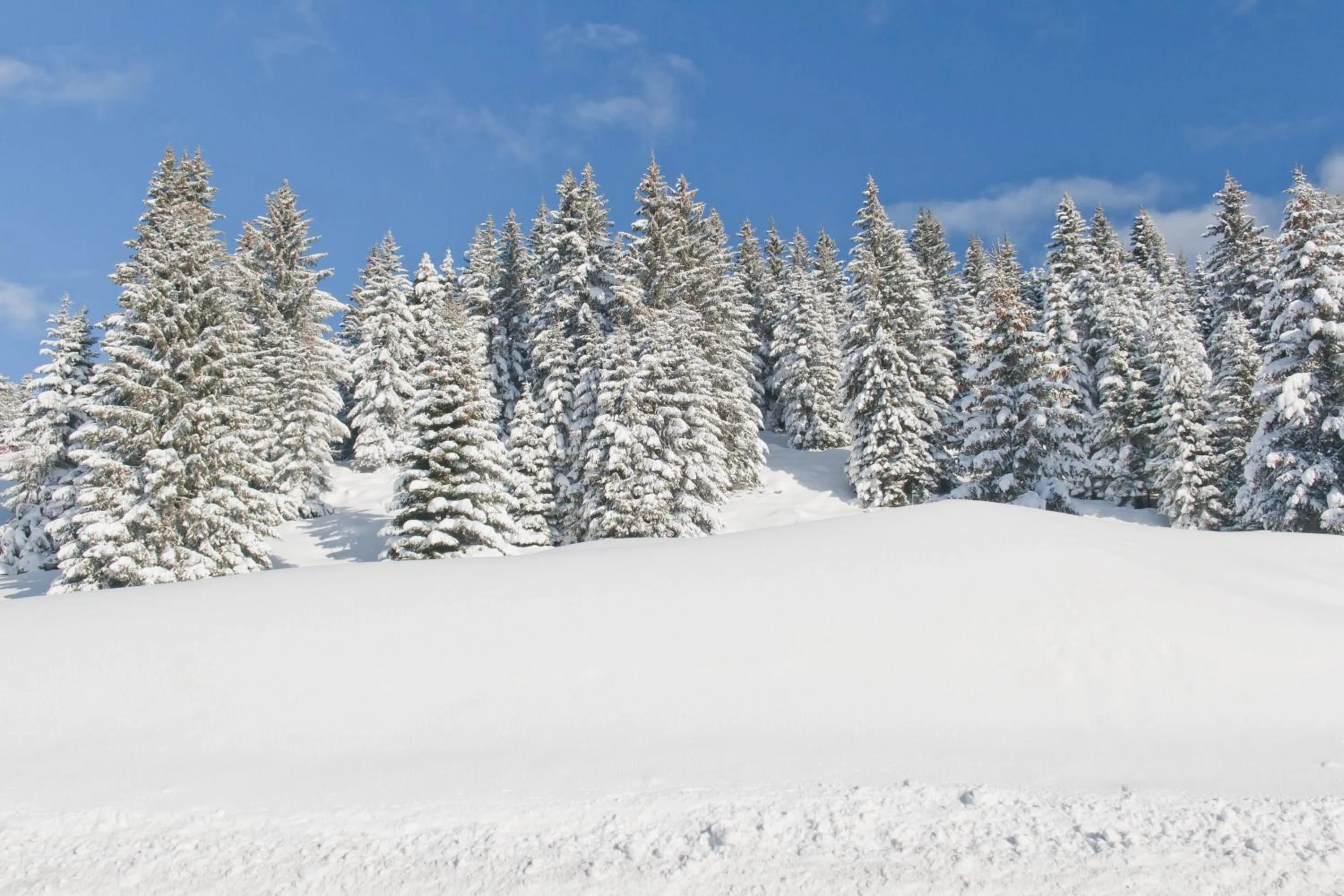 Winter in Hotel Due Spade