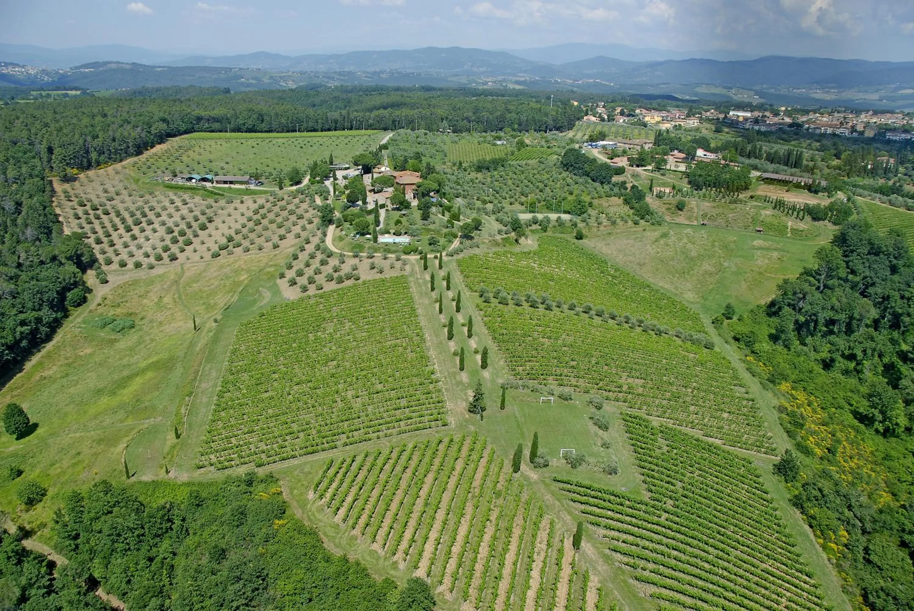 Bird's eye view in Salvadonica
