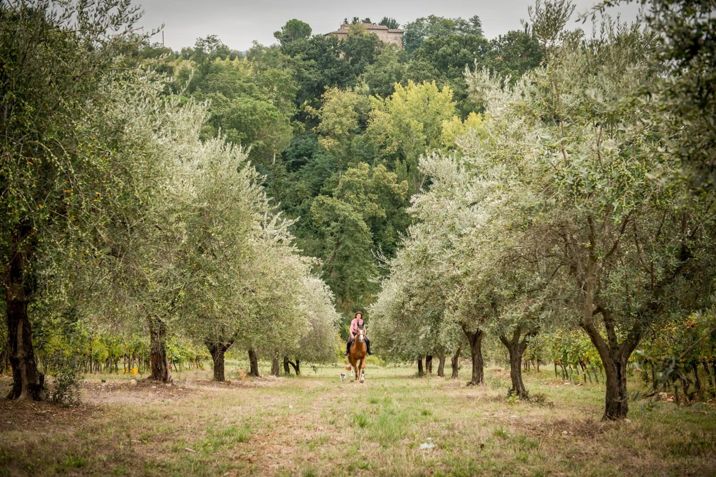 Horse-riding in Salvadonica