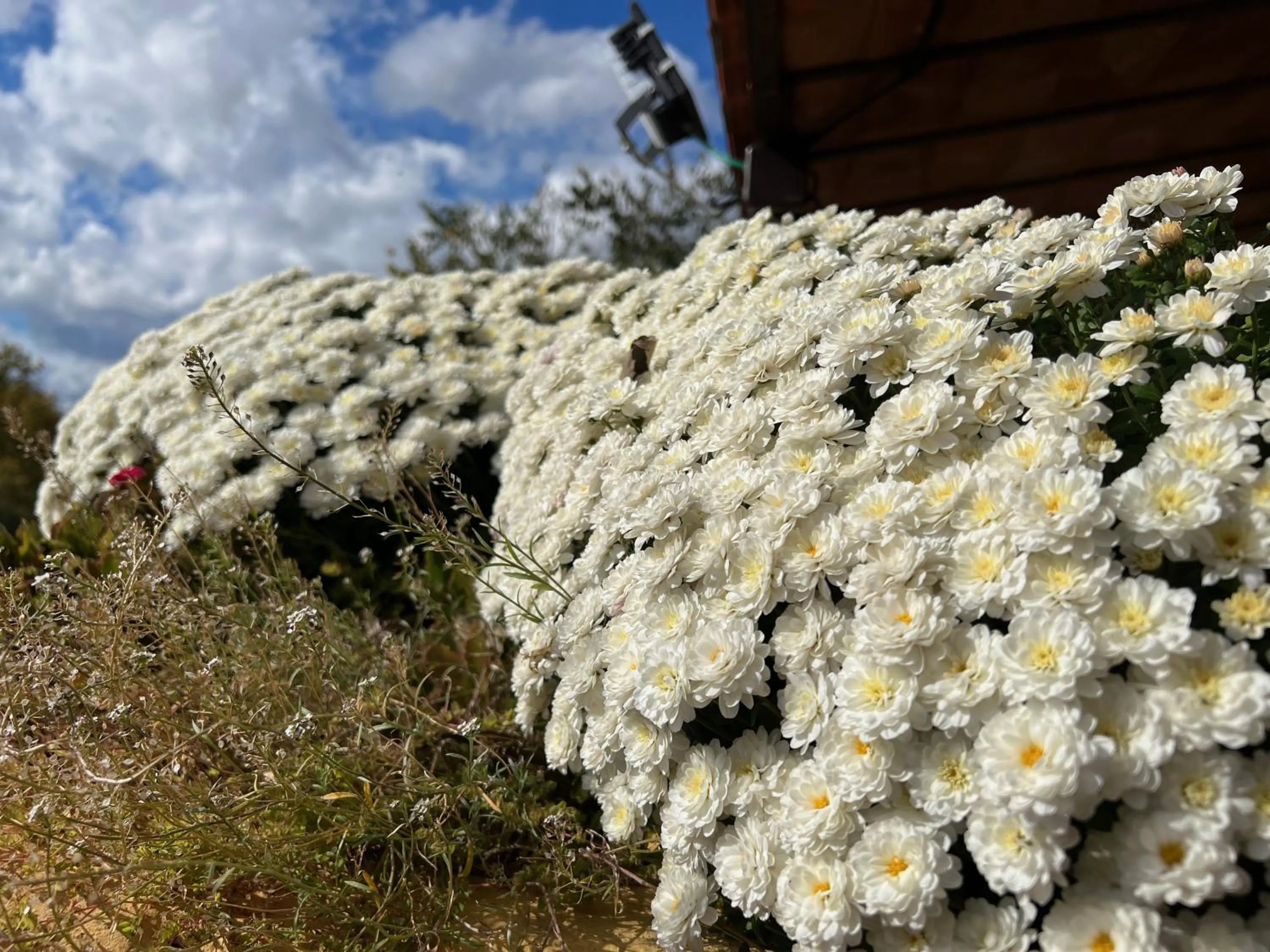 Les Vinyes Alojamiento Rural Boutique & SPA